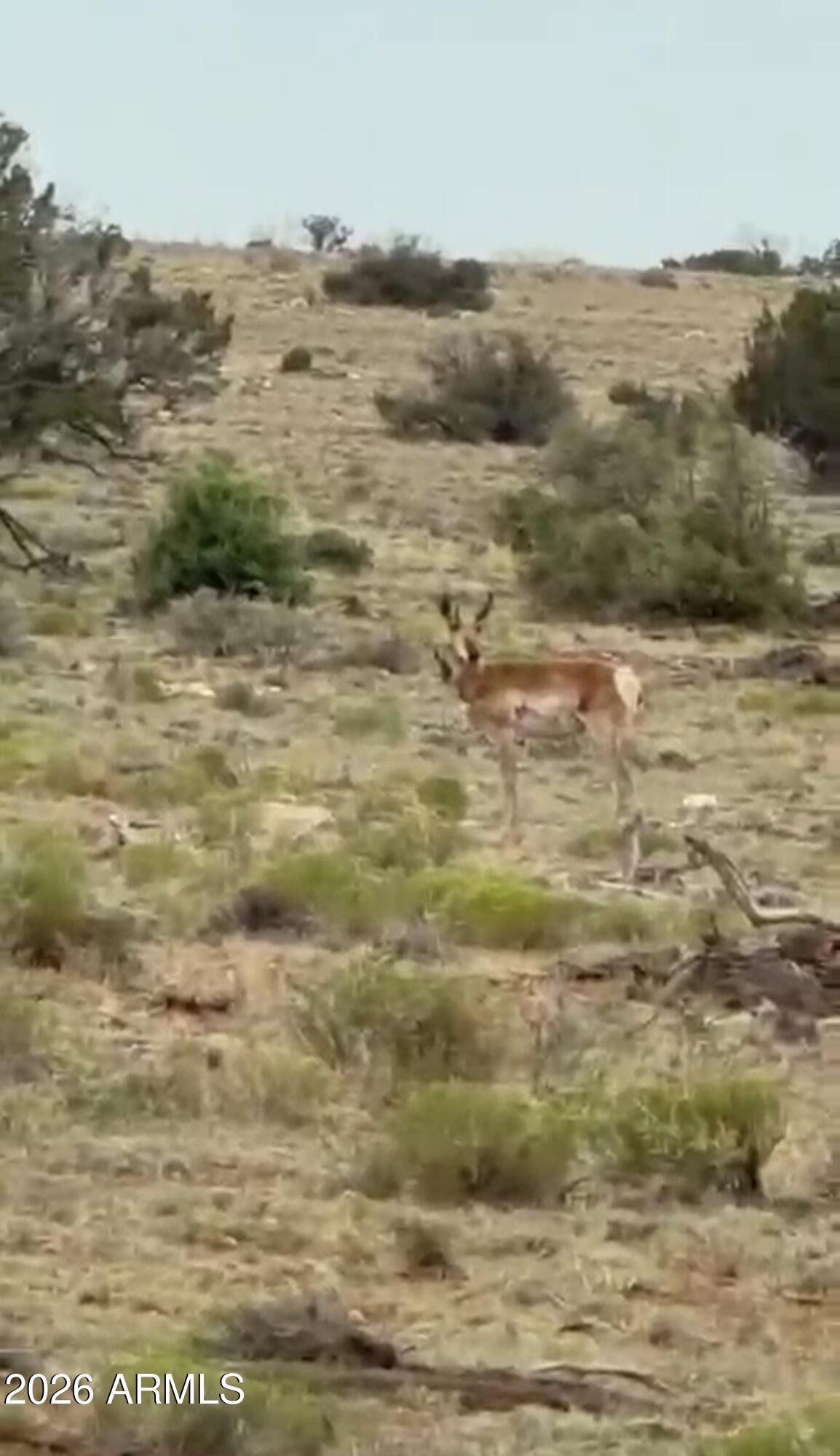 19 T15n R16e Heber, AZ 85928 - Photo 2 of 7 IMG_2319