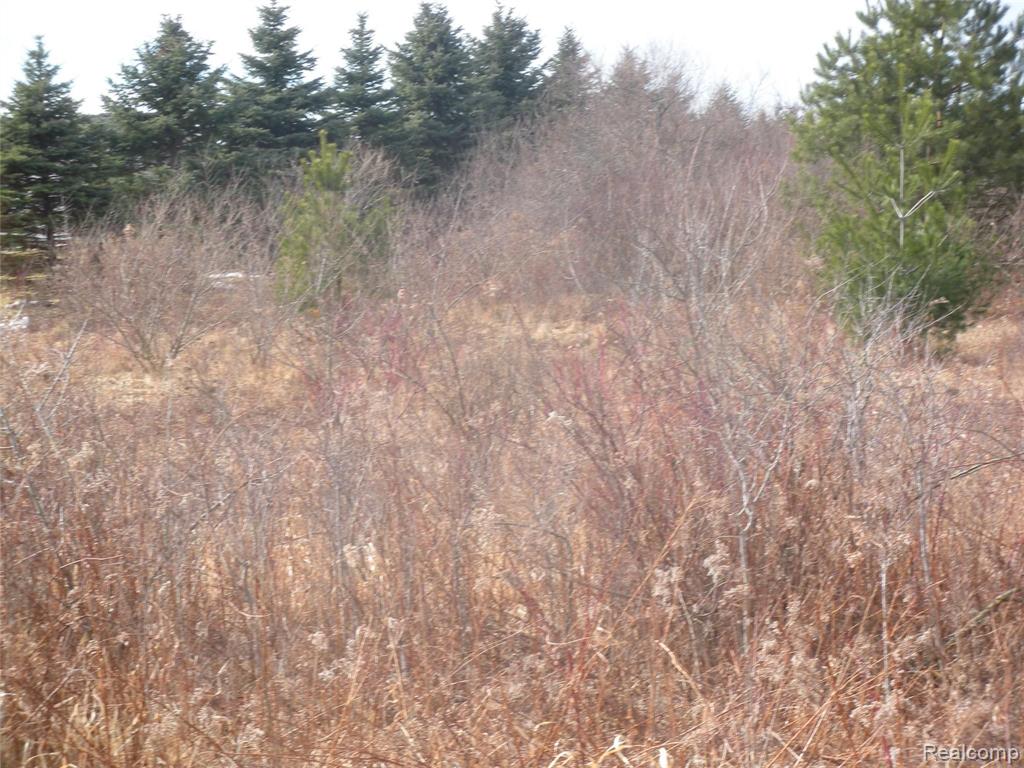 A & B A & B Rich Road Mayville, MI 48744 - Photo 2 of 14