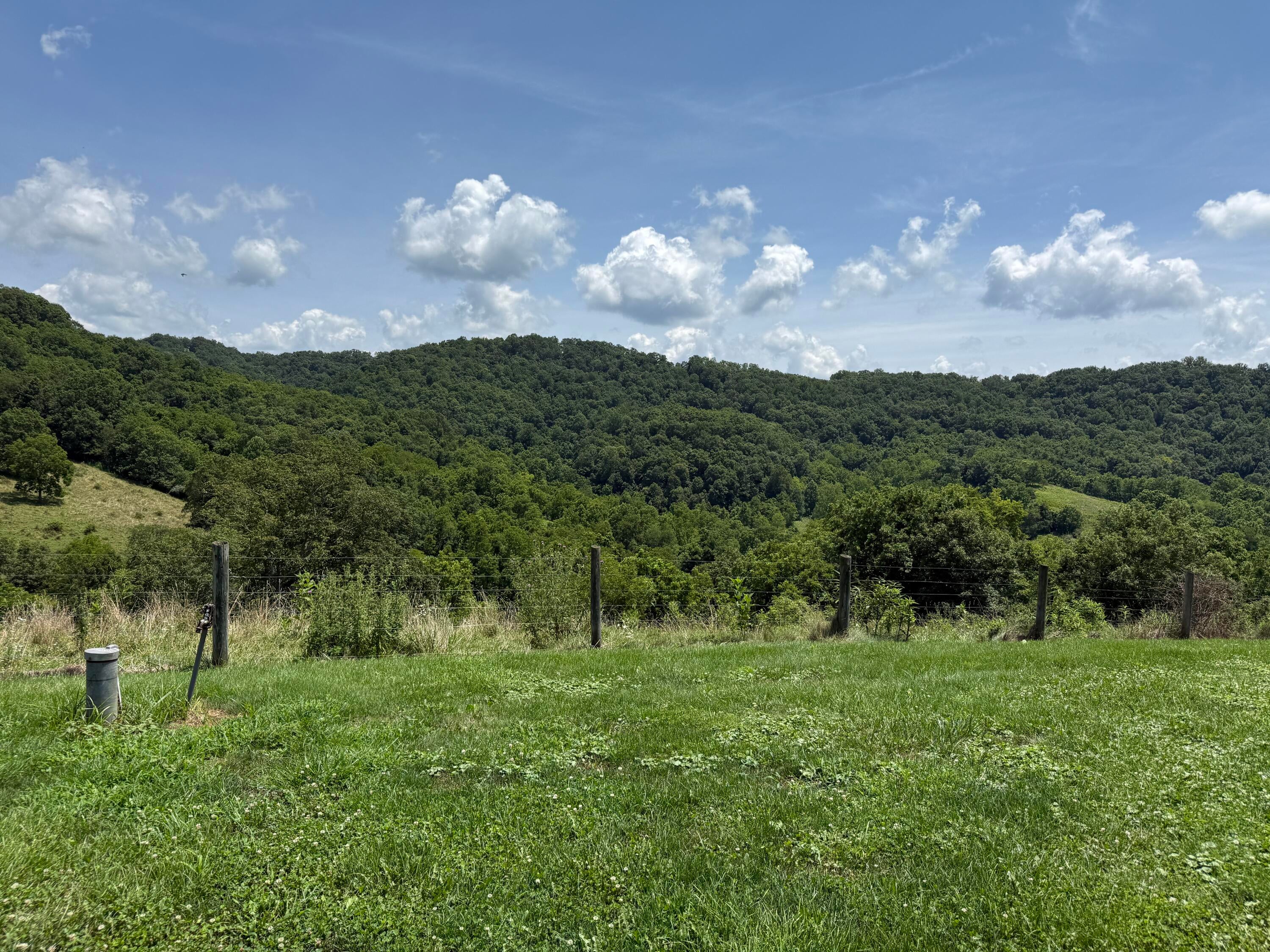 886 Trout Run Road Asbury, WV 24916 - Photo 63 of 99 Views everywhere