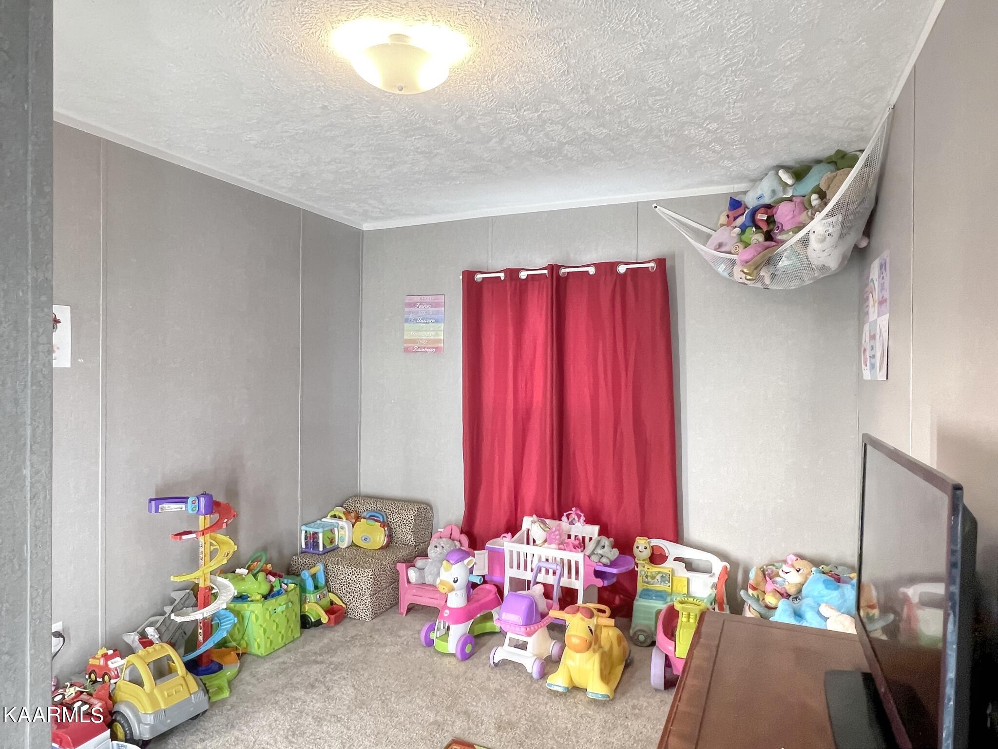 2048 Cedar Fork Road Tazewell, TN 37879 - Photo 24 of 30 Bedroom 4 or Play room