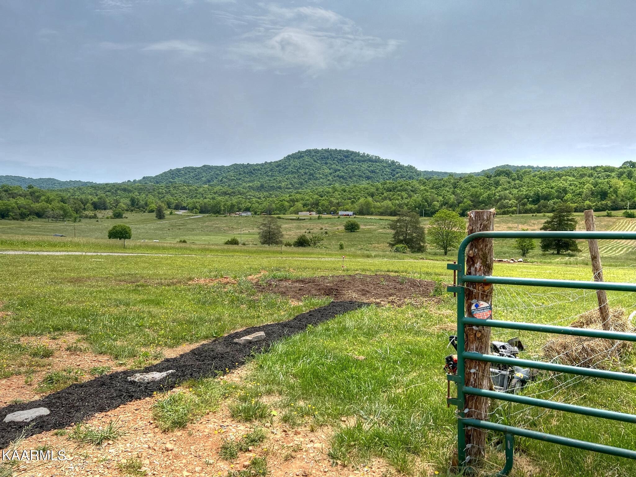 2048 Cedar Fork Road Tazewell, TN 37879 - Photo 26 of 30 Front yard