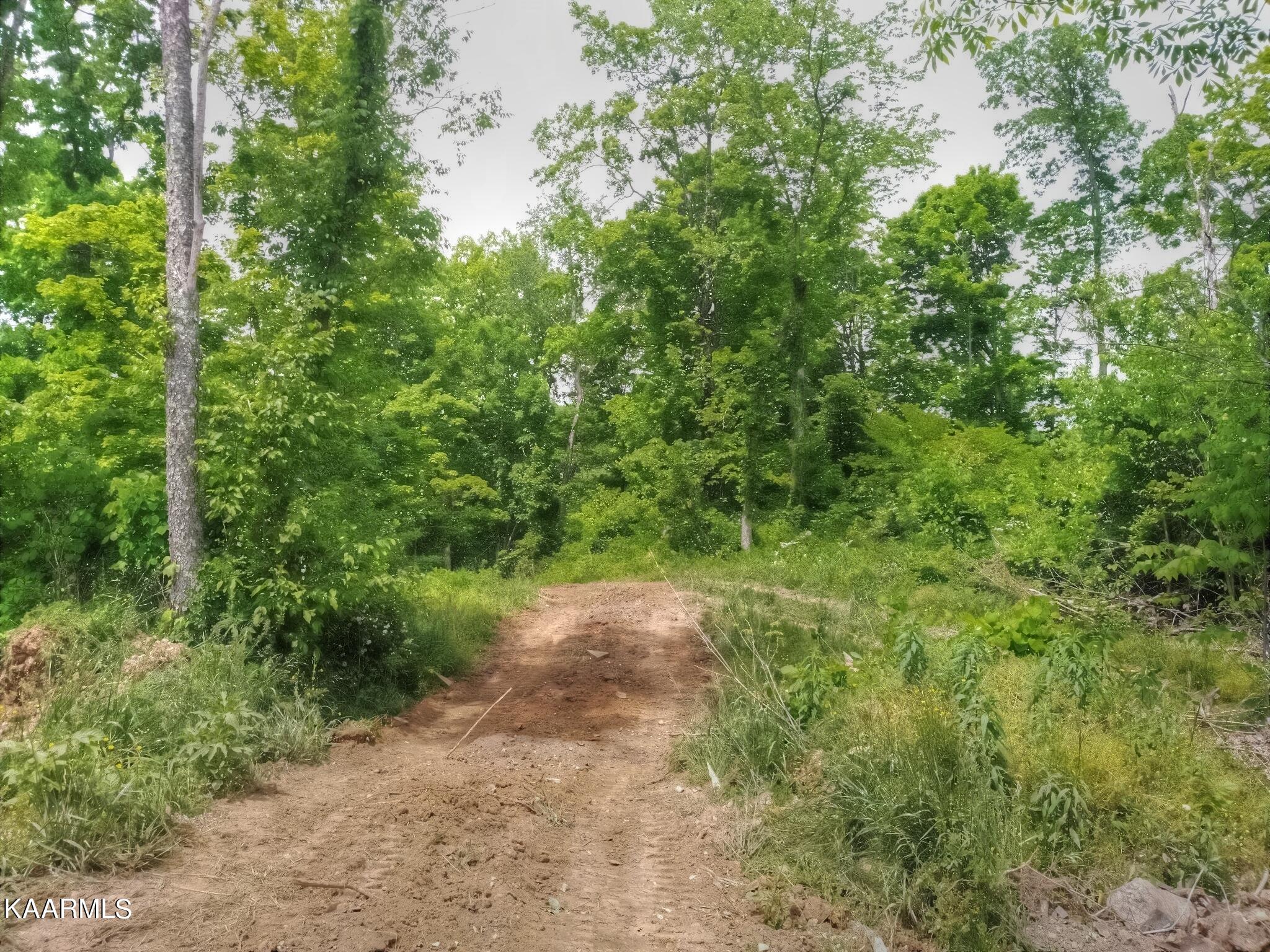 2048 Cedar Fork Road Tazewell, TN 37879 - Photo 27 of 30 Pathway from the back yard...