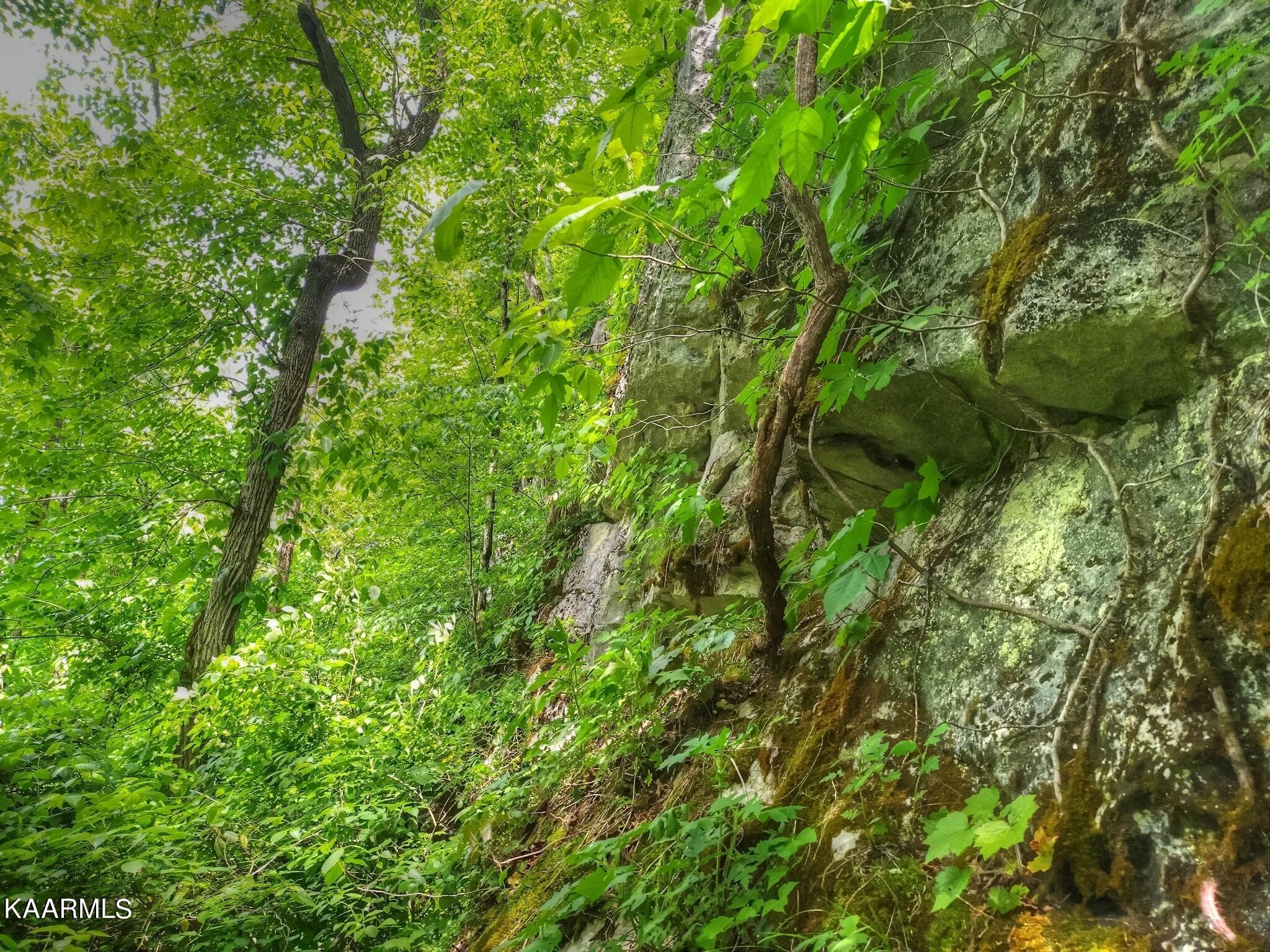 2048 Cedar Fork Road Tazewell, TN 37879 - Photo 29 of 30 Cliffs