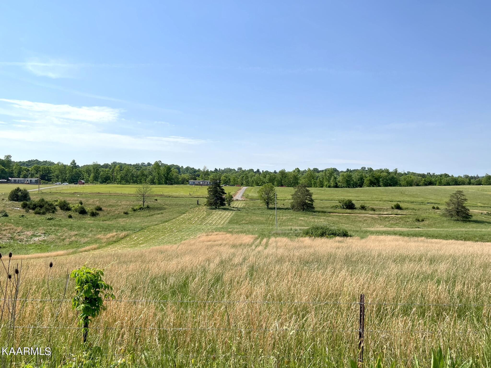 2048 Cedar Fork Road Tazewell, TN 37879 - Photo 5 of 30 Picture taken from the main road