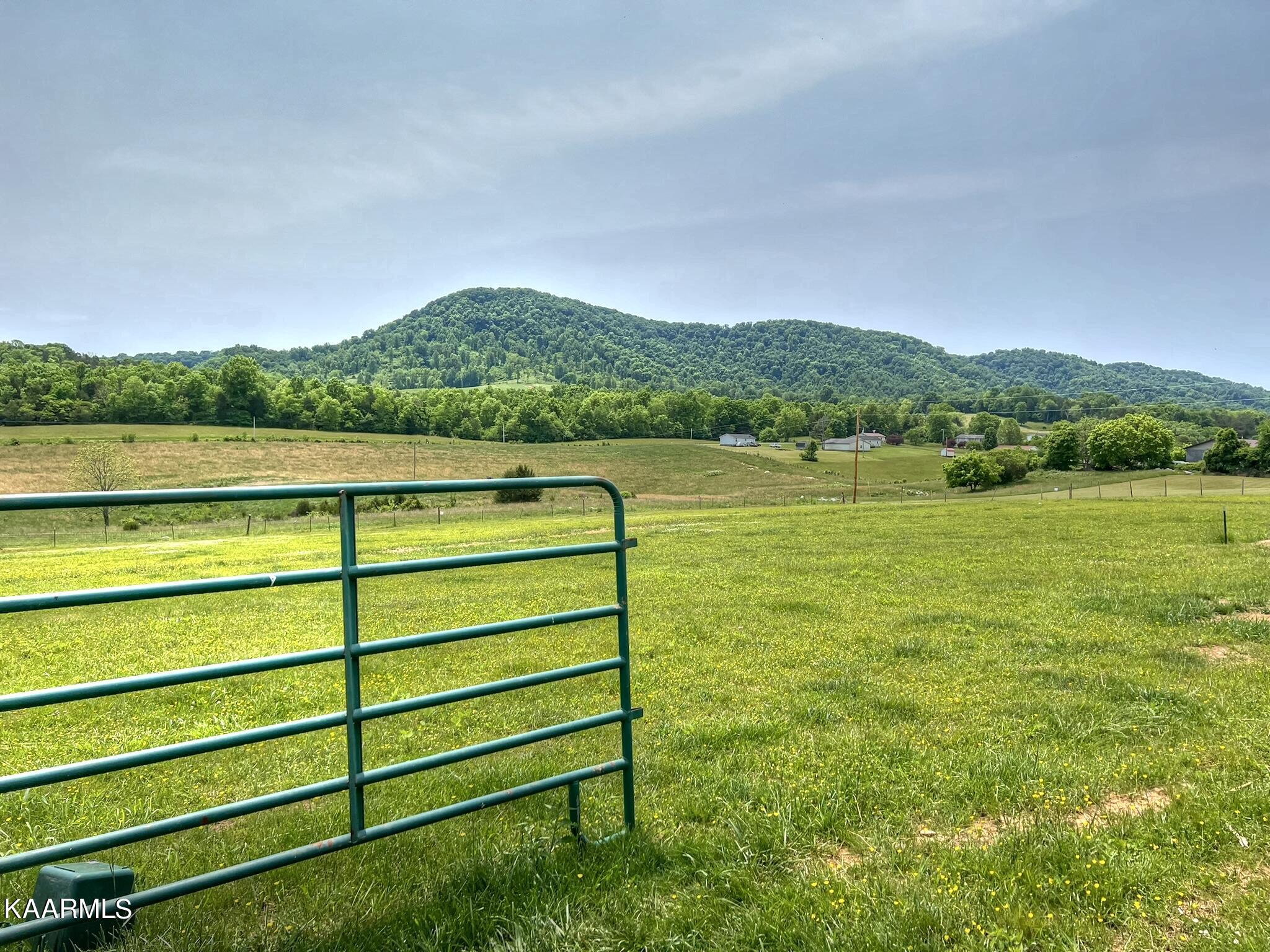 2048 Cedar Fork Road Tazewell, TN 37879 - Photo 7 of 30 Front yard