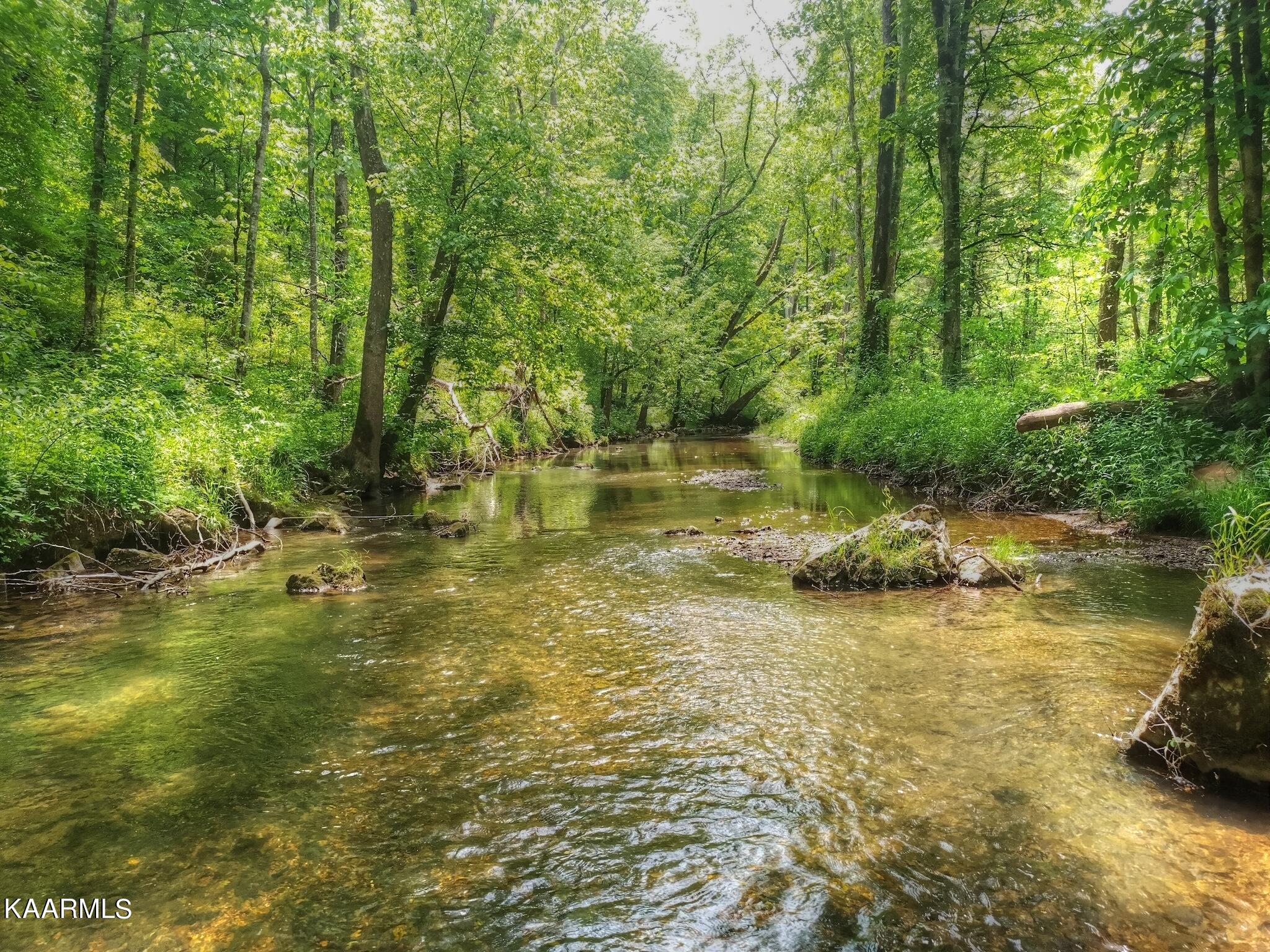 2048 Cedar Fork Road Tazewell, TN 37879 - Photo 8 of 30 Stream below the cliff