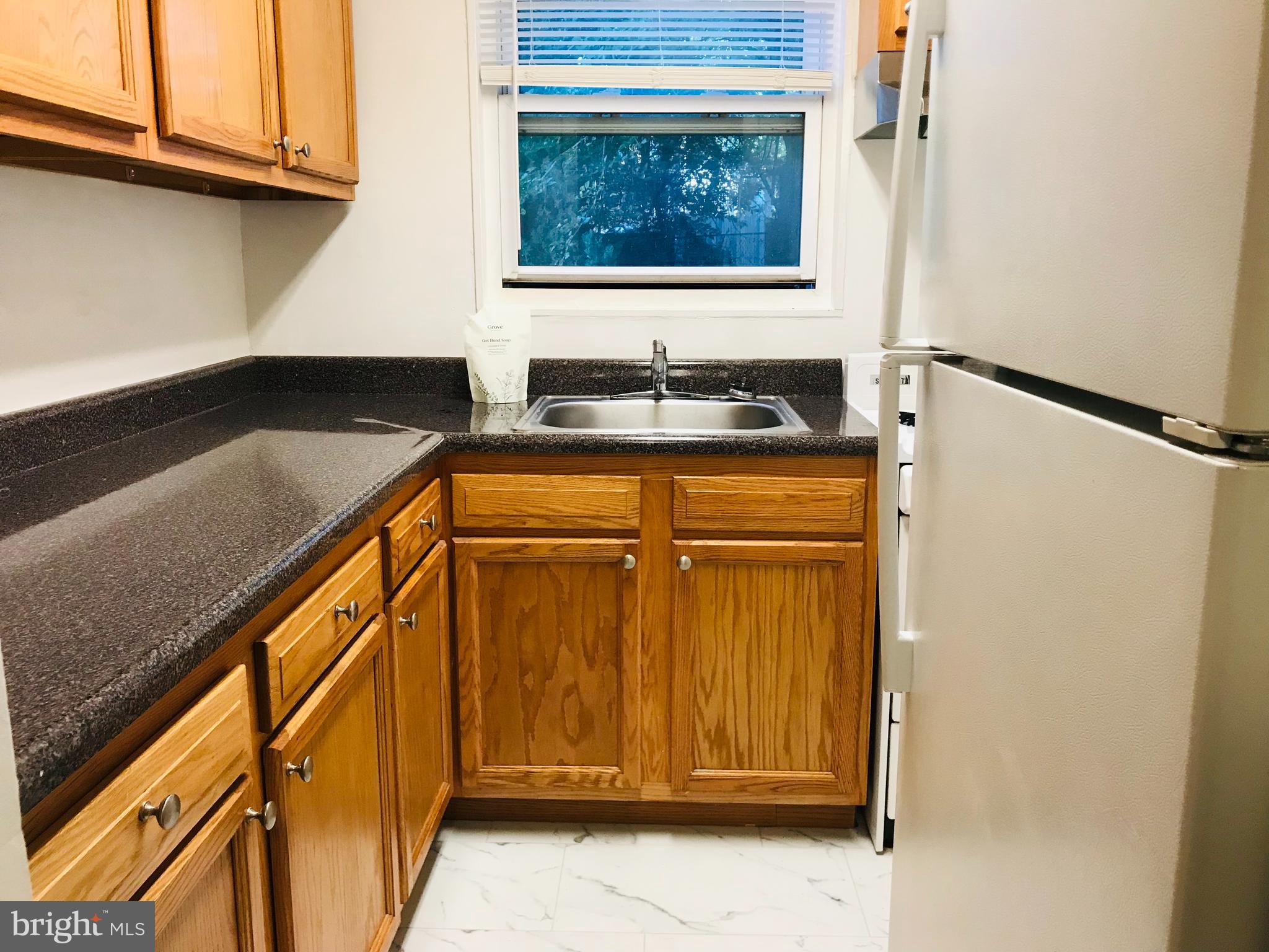 8809 Plymouth Street, Unit 3 Silver Spring, MD 20901 - Photo 2 of 13 Kitchen