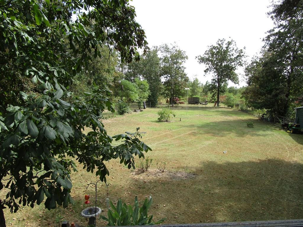 3480 Camp Rawls Road Wagener, SC 29164 - Photo 33 of 40