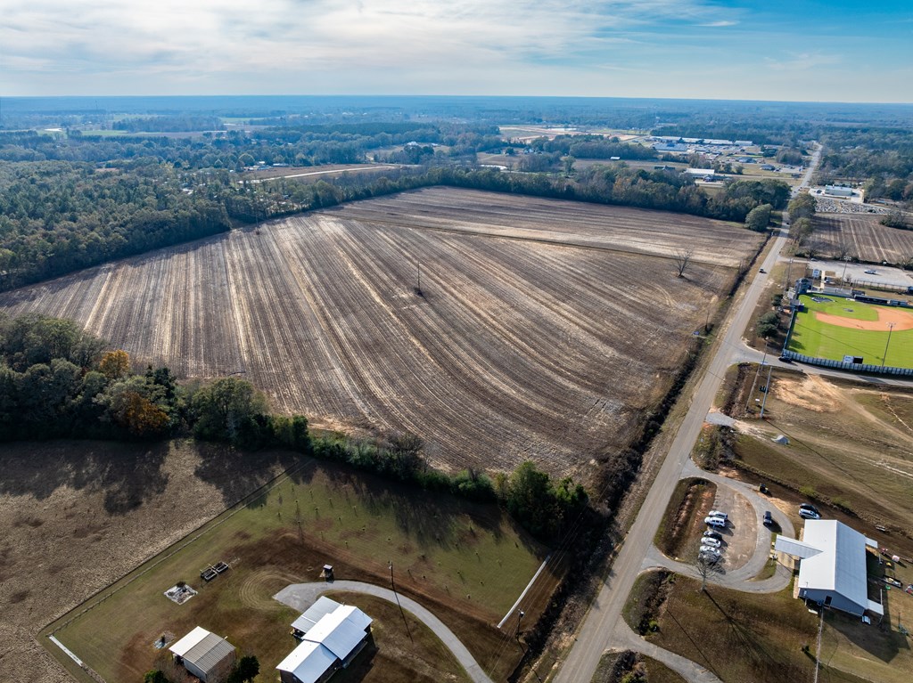 51.8-ac Hadden Road Dothan, AL 36301 - Photo 13 of 43