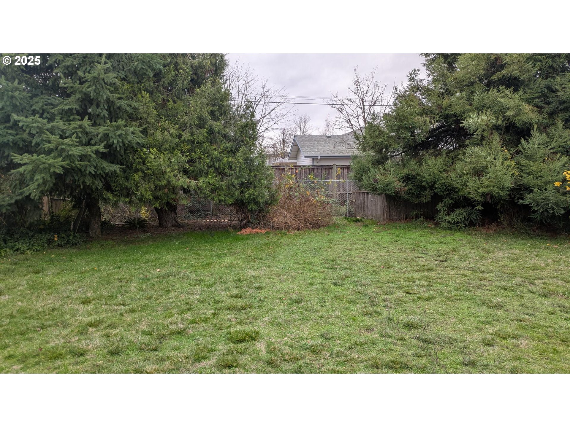 688 32nd Street Springfield, OR 97478 - Photo 11 of 11 a open area with trees in the background