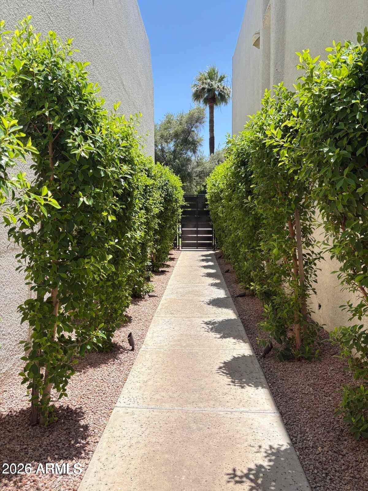 302 East Monte Vista Road, Unit A5 Phoenix, AZ 85004 - Photo 22 of 23 a view of a backyard with potted plants