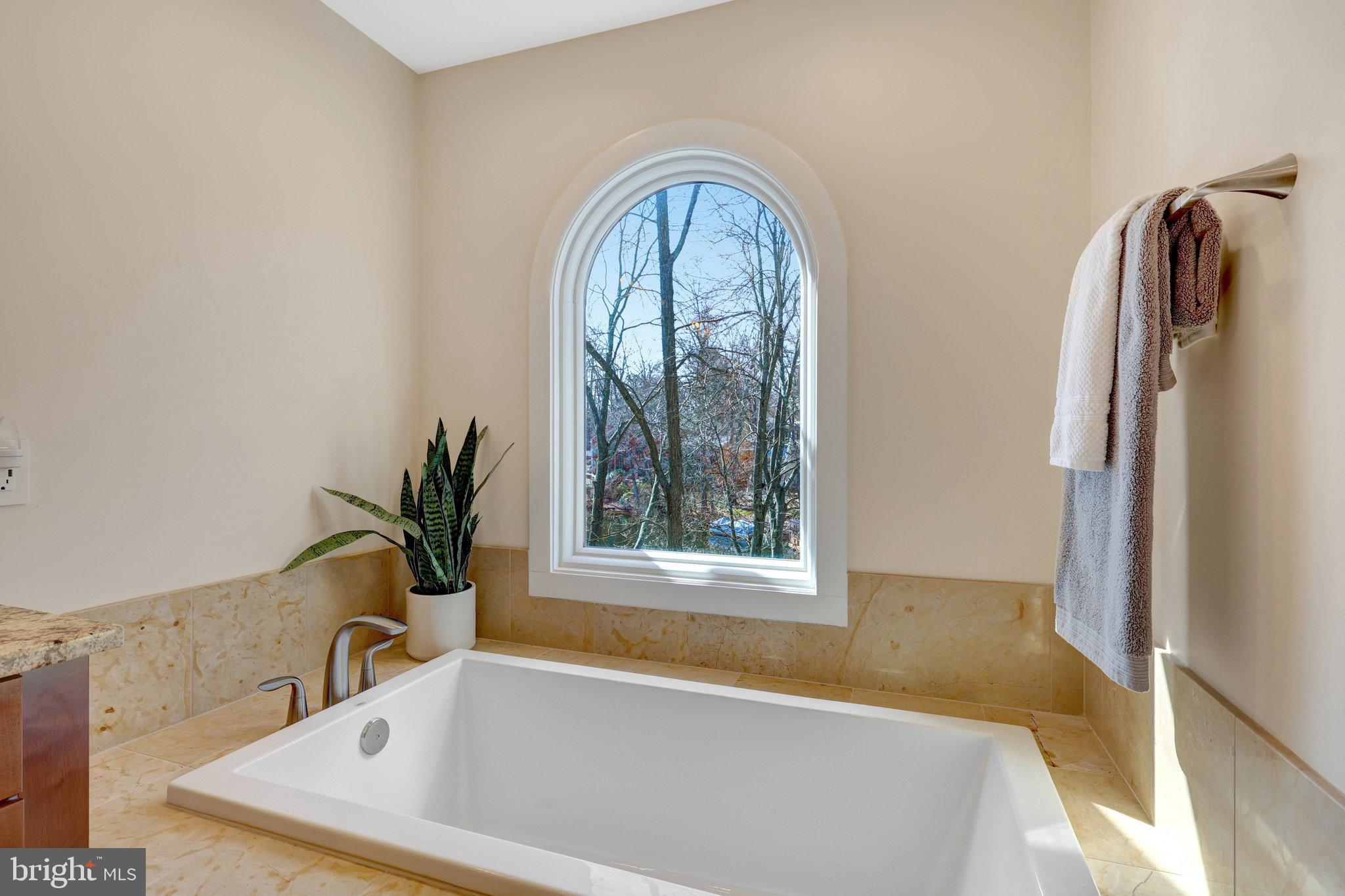 1911 Lakeport Way Reston, VA 20191 - Photo 41 of 63 Luxurious soaking tub overlooks lake - Ooh la la
