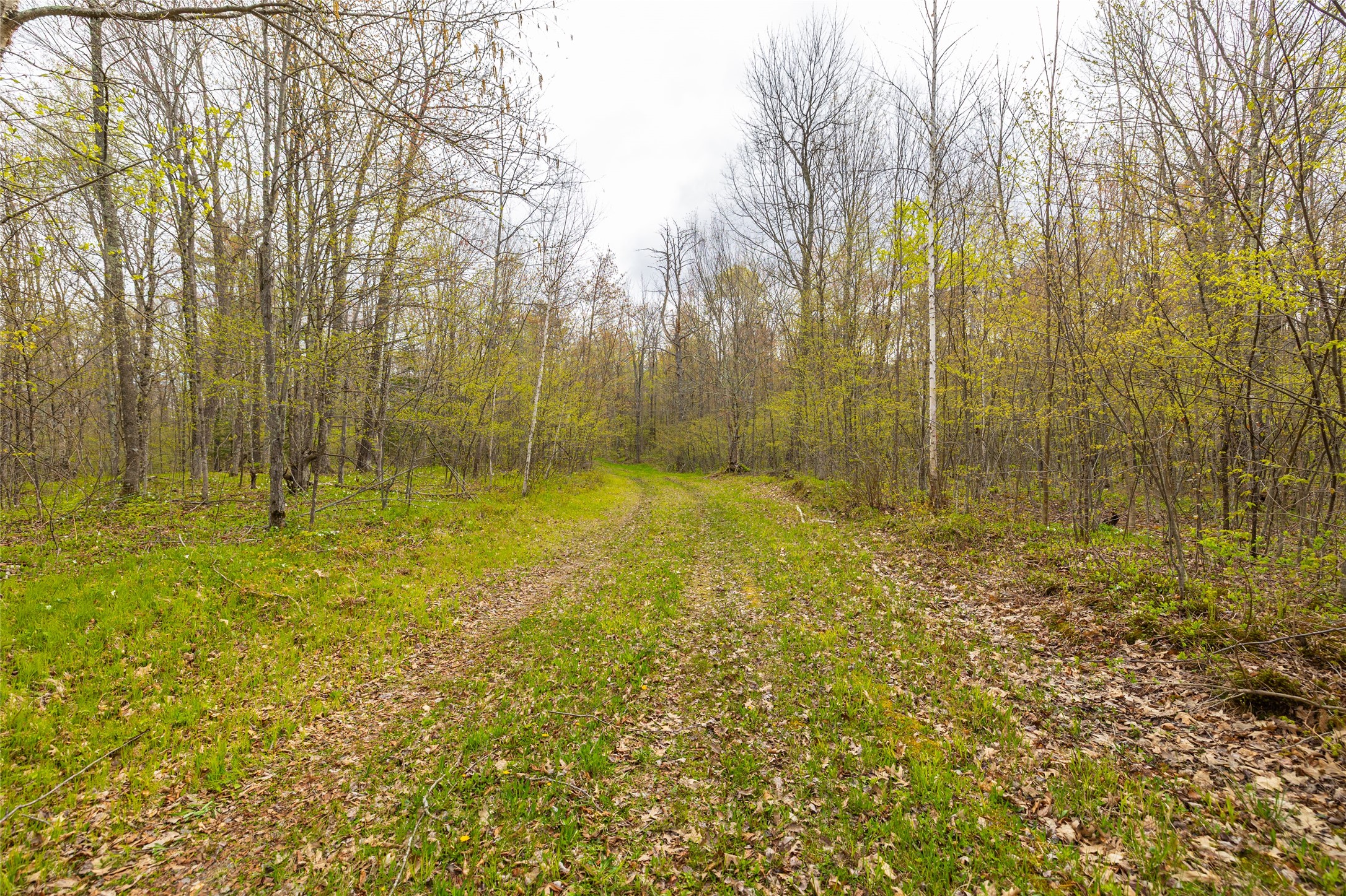 5807 Strom Road Winter, WI 54896 - Photo 25 of 45