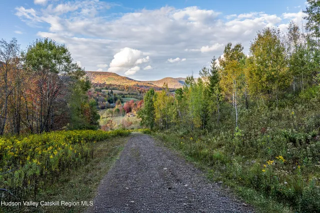 $1,300,000 | 105 Stewart Road, Denver, NY 12421