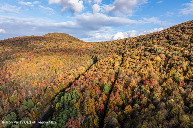 $1,300,000 | 105 Stewart Road, Denver, NY 12421