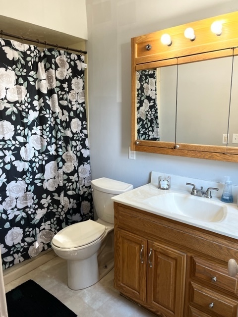 14676 East Twombly Road Rochelle, IL 61068 - Photo 28 of 63 a bathroom with a toilet sink vanity and mirror