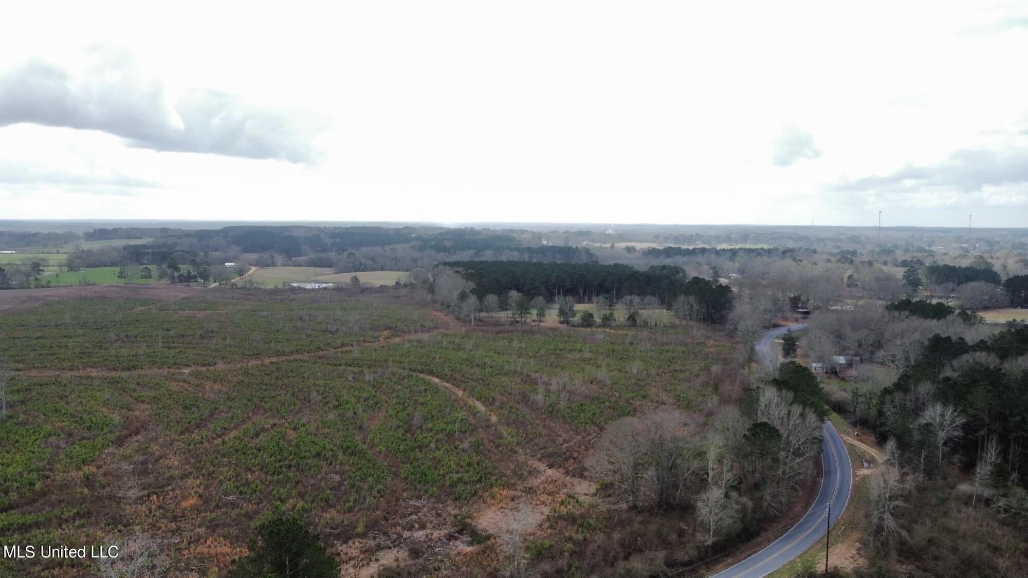 0 Dry Creek Road, Unit 1 Magee, MS 39111 - Photo 1 of 17 dji_fly_20230224_110750_196_167725847836