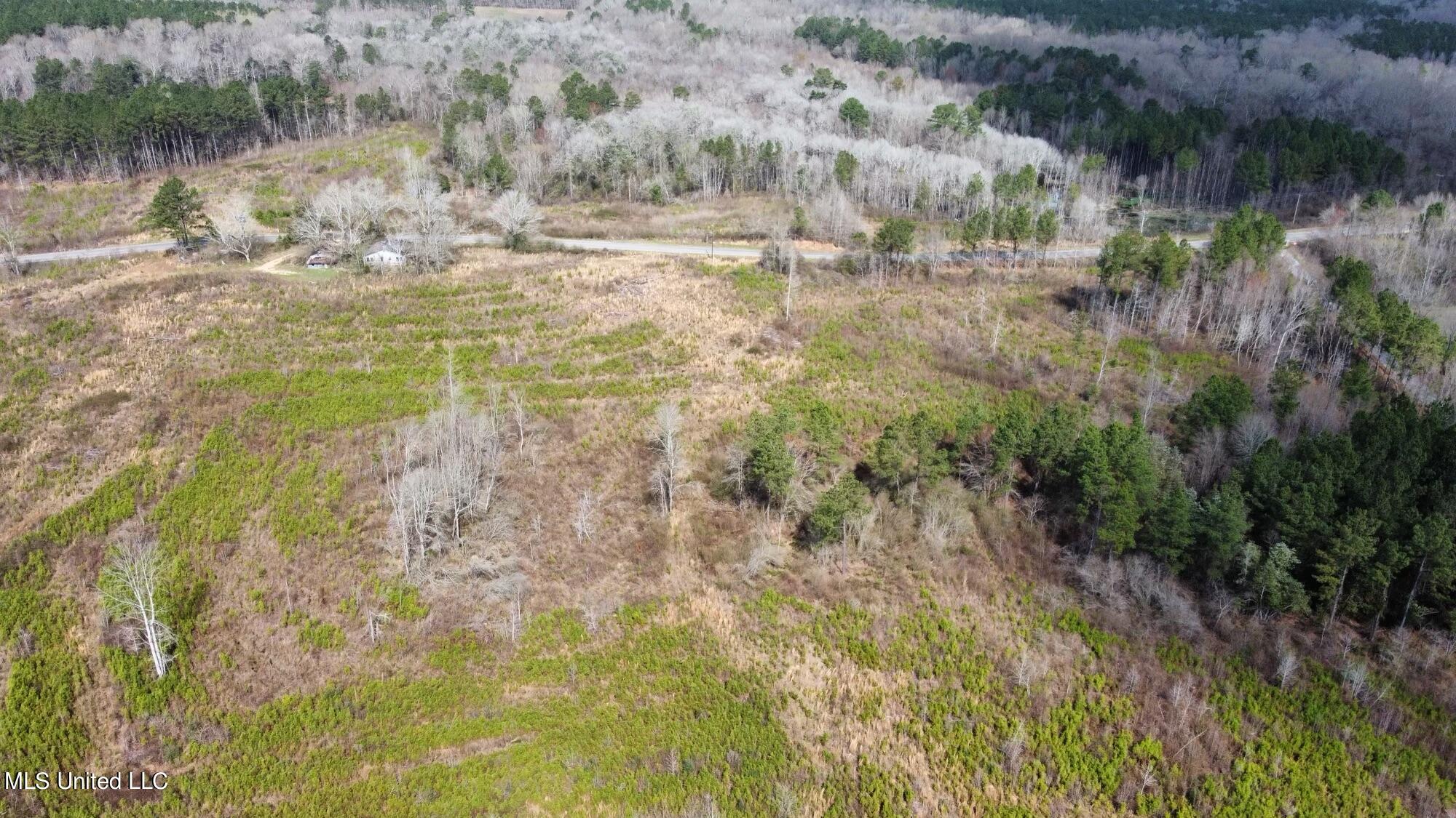 0 Dry Creek Road, Unit 1 Magee, MS 39111 - Photo 16 of 17 dji_fly_20230224_111156_211_167725878029