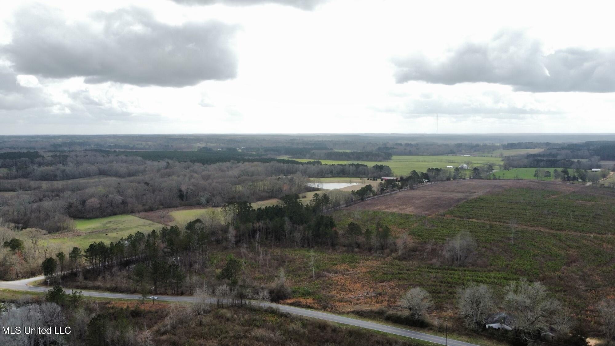 0 Dry Creek Road, Unit 1 Magee, MS 39111 - Photo 9 of 17 dji_fly_20230224_110826_199_167725851277