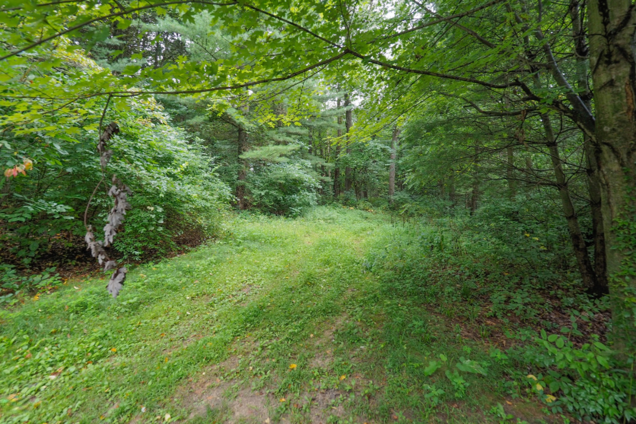 13897 Coon Hollow Road Three Rivers, MI 49093 - Photo 29 of 46 13897 Coon Hollow-129