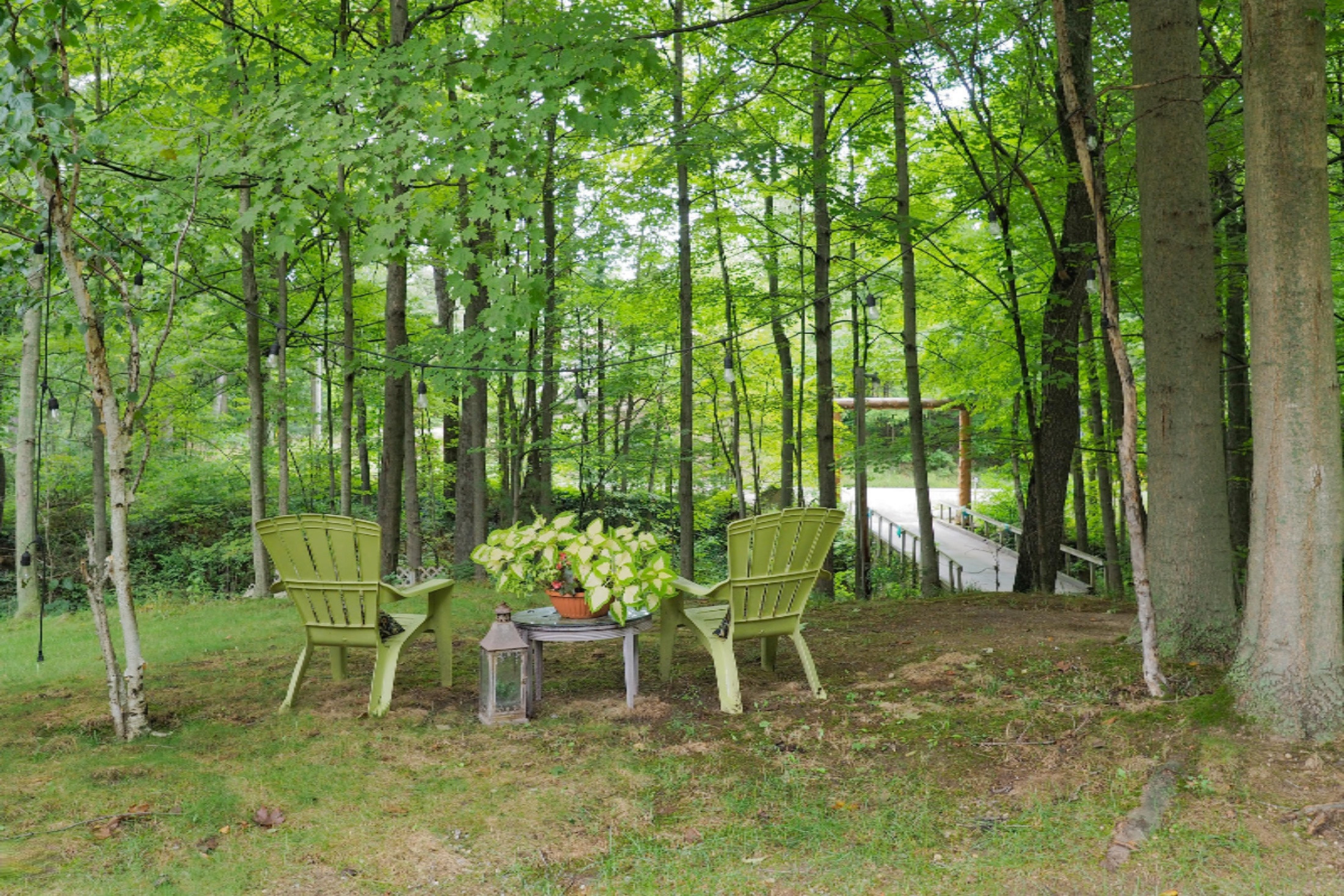 13897 Coon Hollow Road Three Rivers, MI 49093 - Photo 42 of 46 13897 Coon Hollow-142