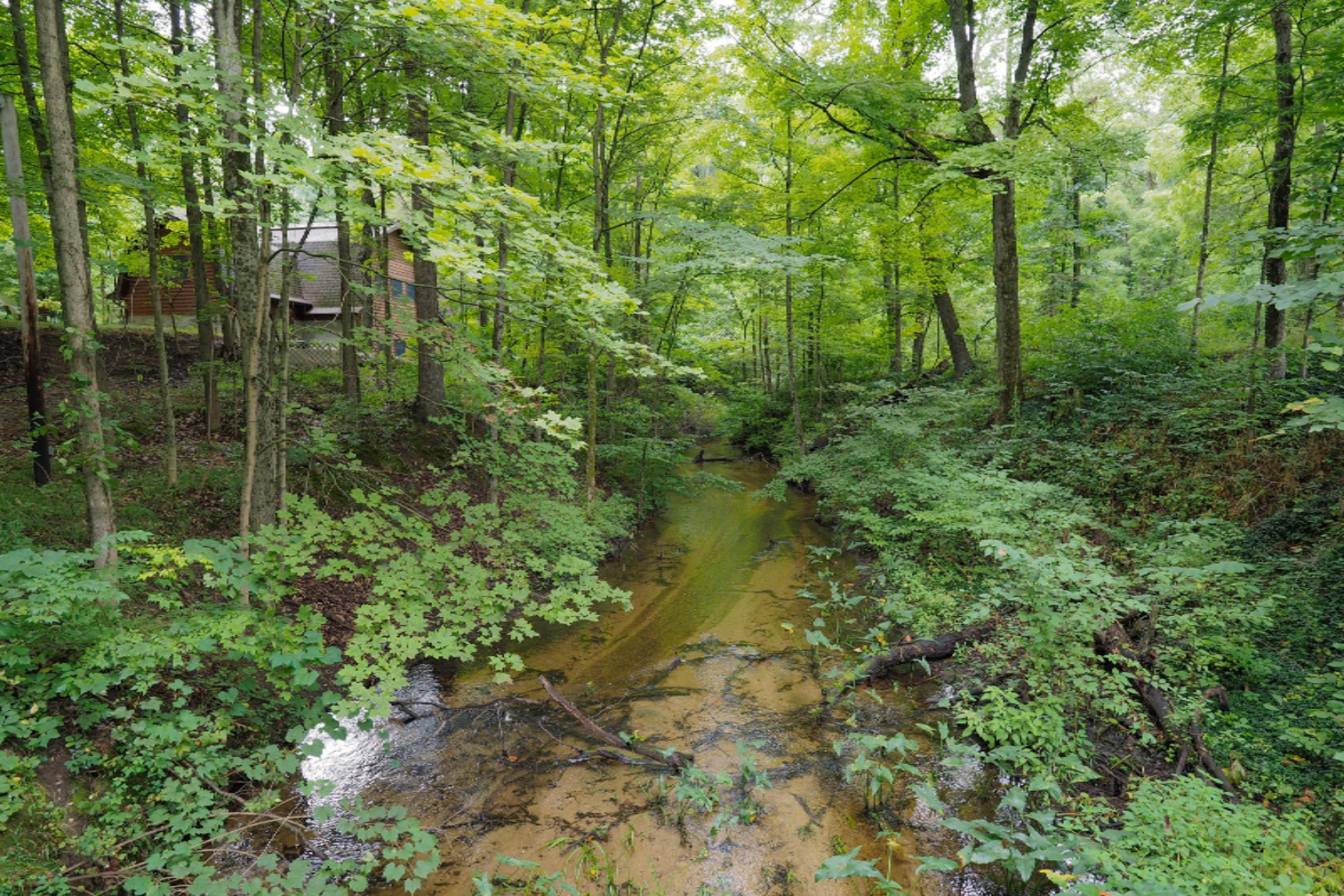 13897 Coon Hollow Road Three Rivers, MI 49093 - Photo 43 of 46 13897 Coon Hollow-143