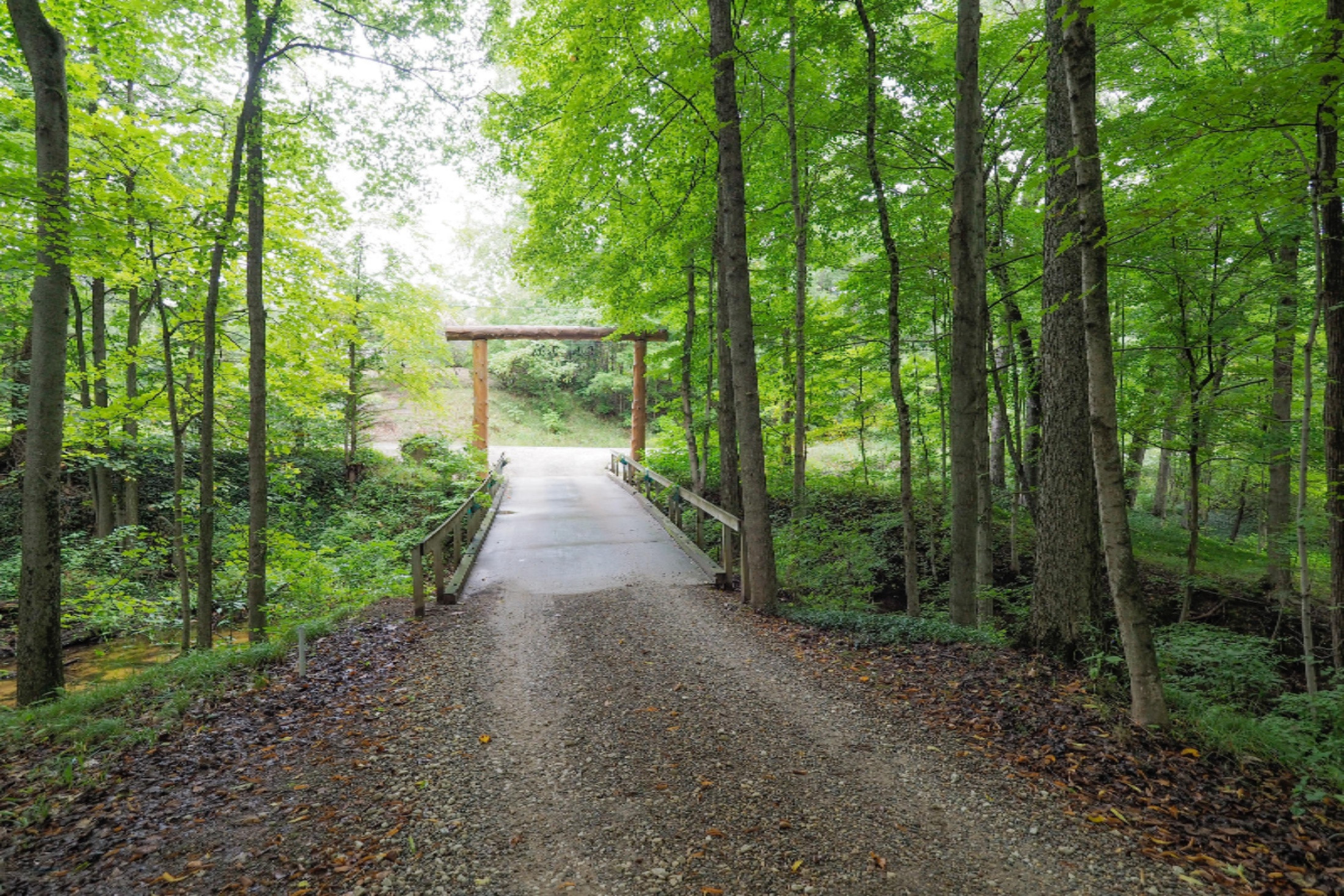 13897 Coon Hollow Road Three Rivers, MI 49093 - Photo 46 of 46 13897 Coon Hollow-146