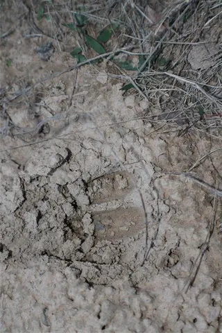 $170,000 | 0 Fm 3054, Malakoff, TX 75148