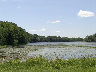 Withers Road Constantine, MI 49042 - Photo 1 of 4 Primary Photo