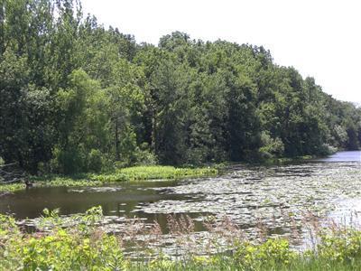 Withers Road Constantine, MI 49042 - Photo 4 of 4 Additional Photo