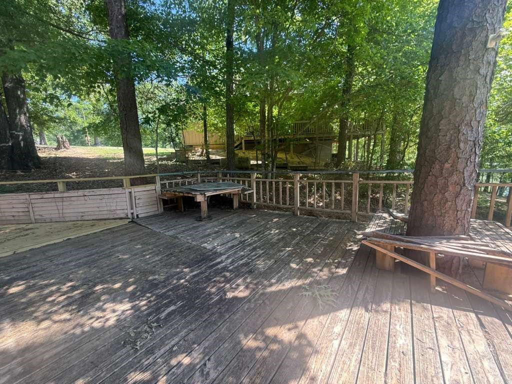 460 Lakeview Street Abbeville, AL 36310 - Photo 13 of 22