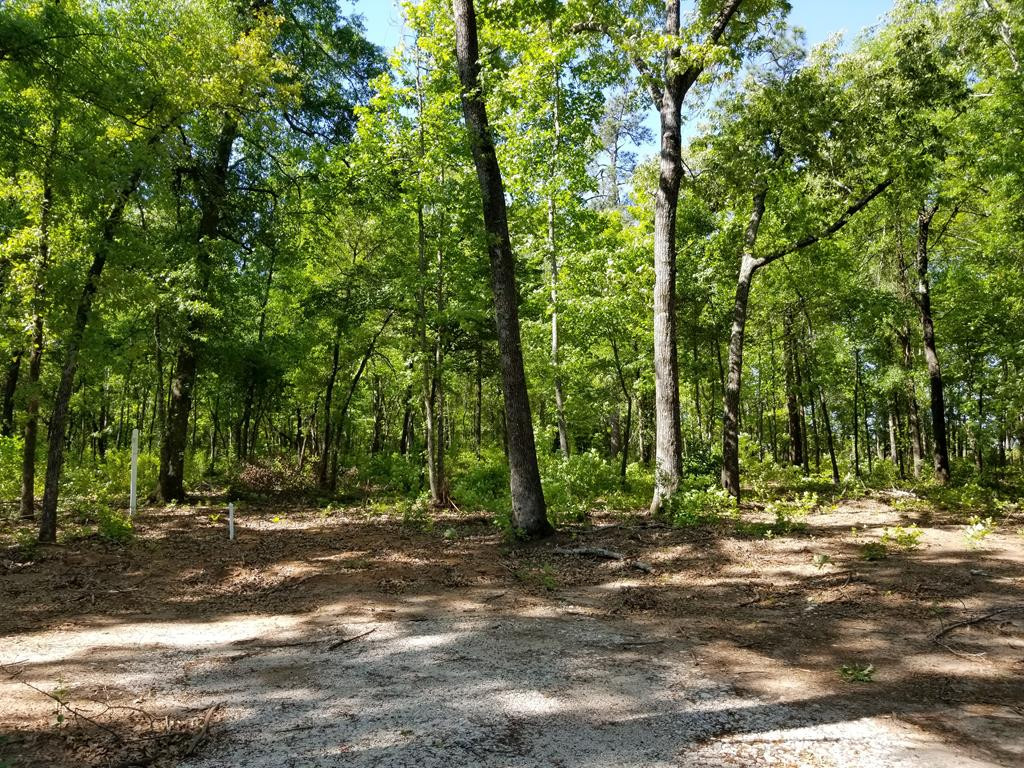 1502 Brown Road Hephzibah, GA 30815 - Photo 1 of 3 Main View