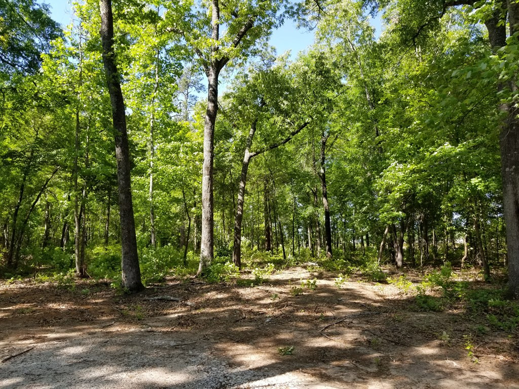 1502 Brown Road Hephzibah, GA 30815 - Photo 3 of 3