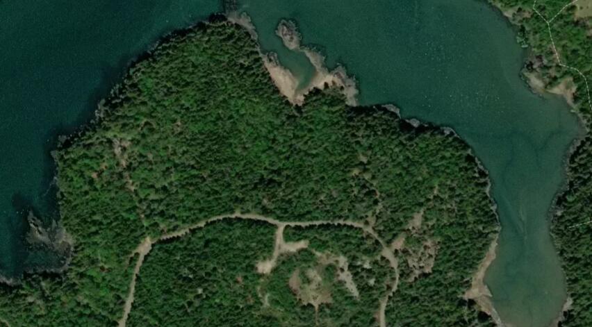 Lot 4 North Shore Road Lubec, ME 04652 - Photo 2 of 13 SatImage_