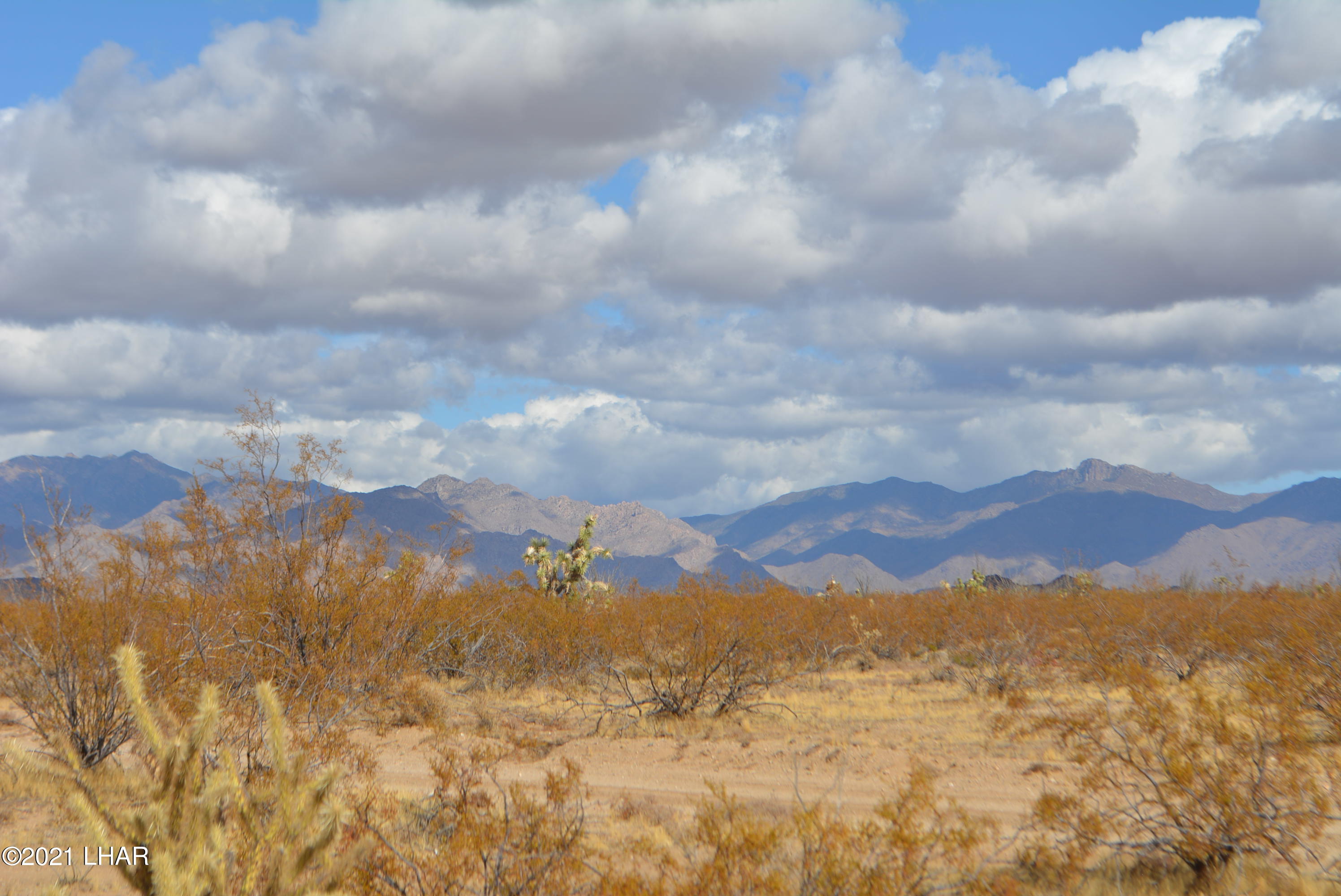 3-lots Cameron Road Yucca, AZ 86438 - Photo 11 of 18 DSC_0274