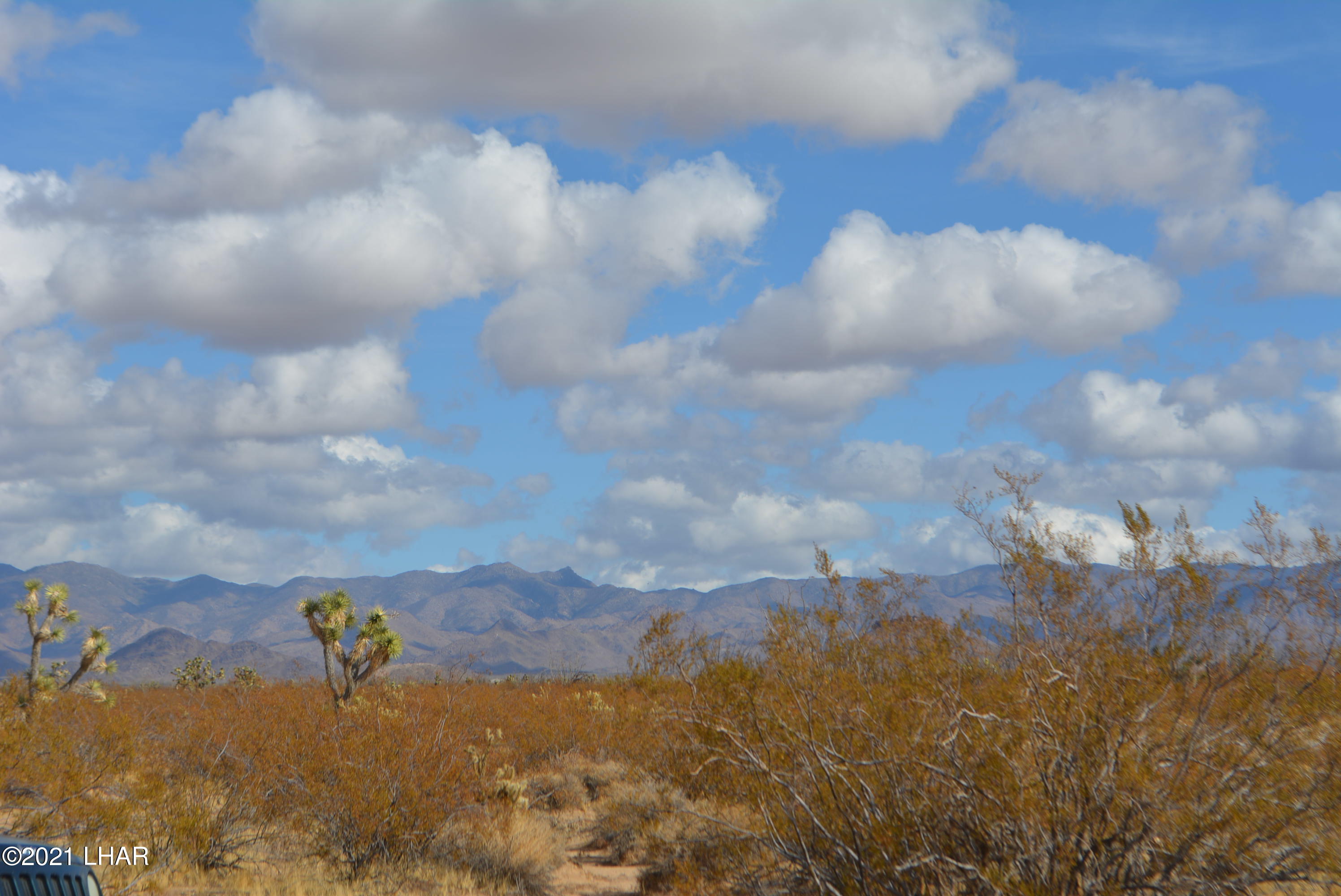 3-lots Cameron Road Yucca, AZ 86438 - Photo 12 of 18 DSC_0276