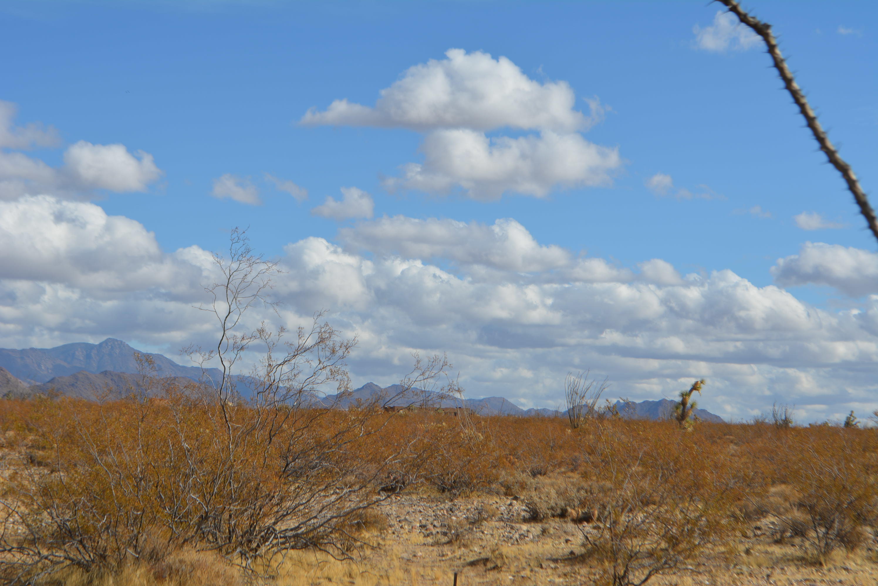 3-lots Cameron Road Yucca, AZ 86438 - Photo 14 of 18 DSC_0278
