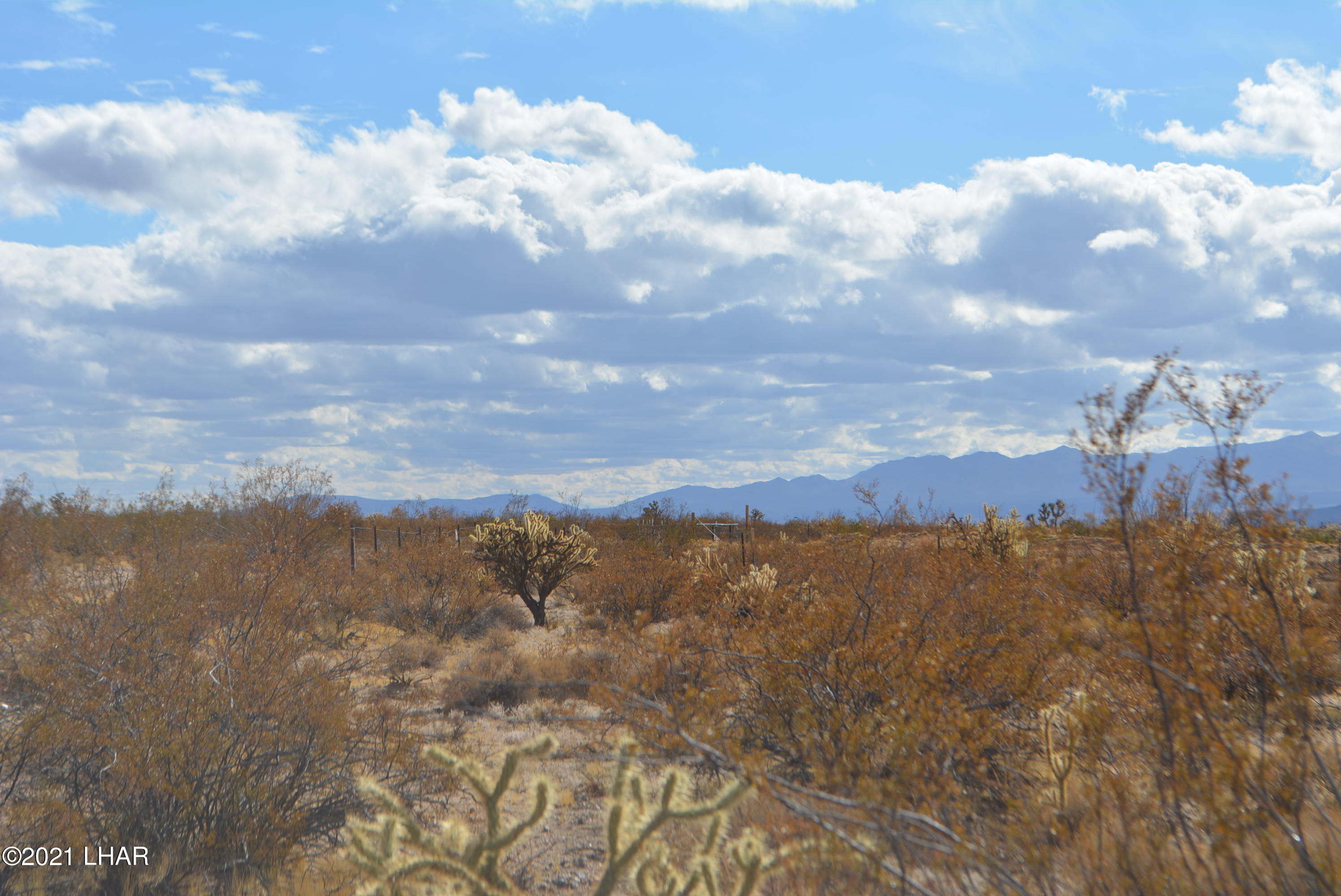 3-lots Cameron Road Yucca, AZ 86438 - Photo 2 of 18 DSC_0263