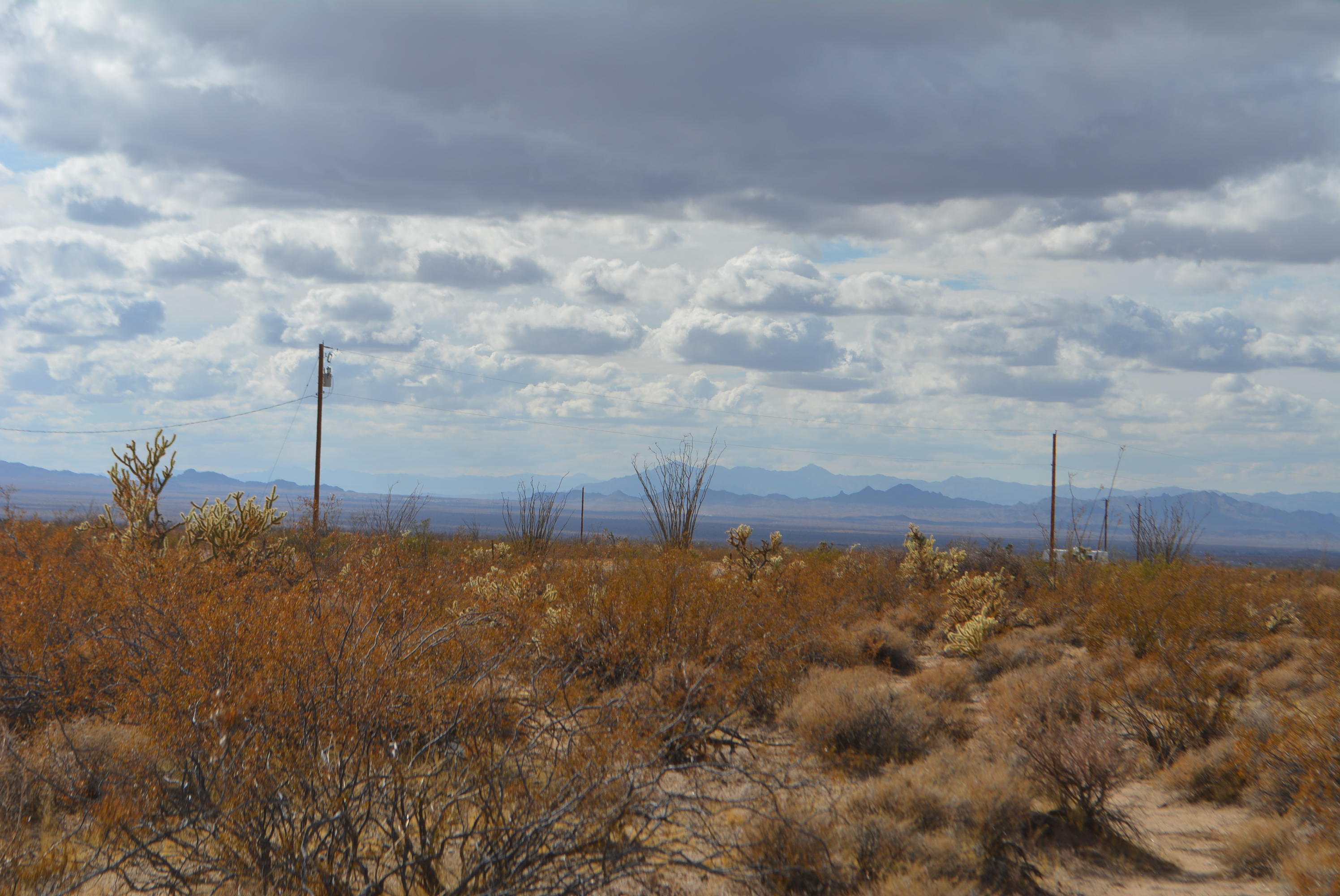 3-lots Cameron Road Yucca, AZ 86438 - Photo 5 of 18 DSC_0266