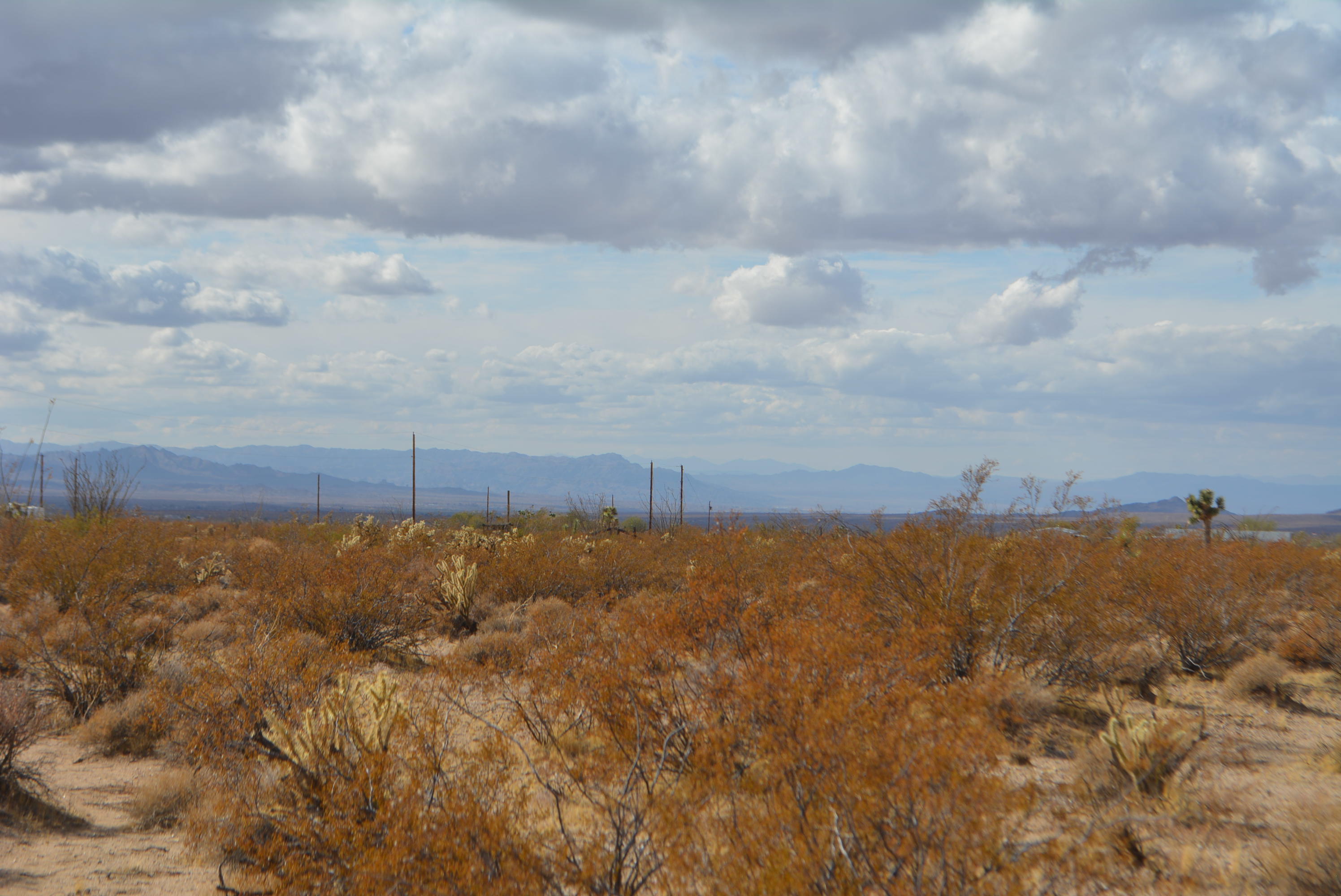 3-lots Cameron Road Yucca, AZ 86438 - Photo 6 of 18 DSC_0267