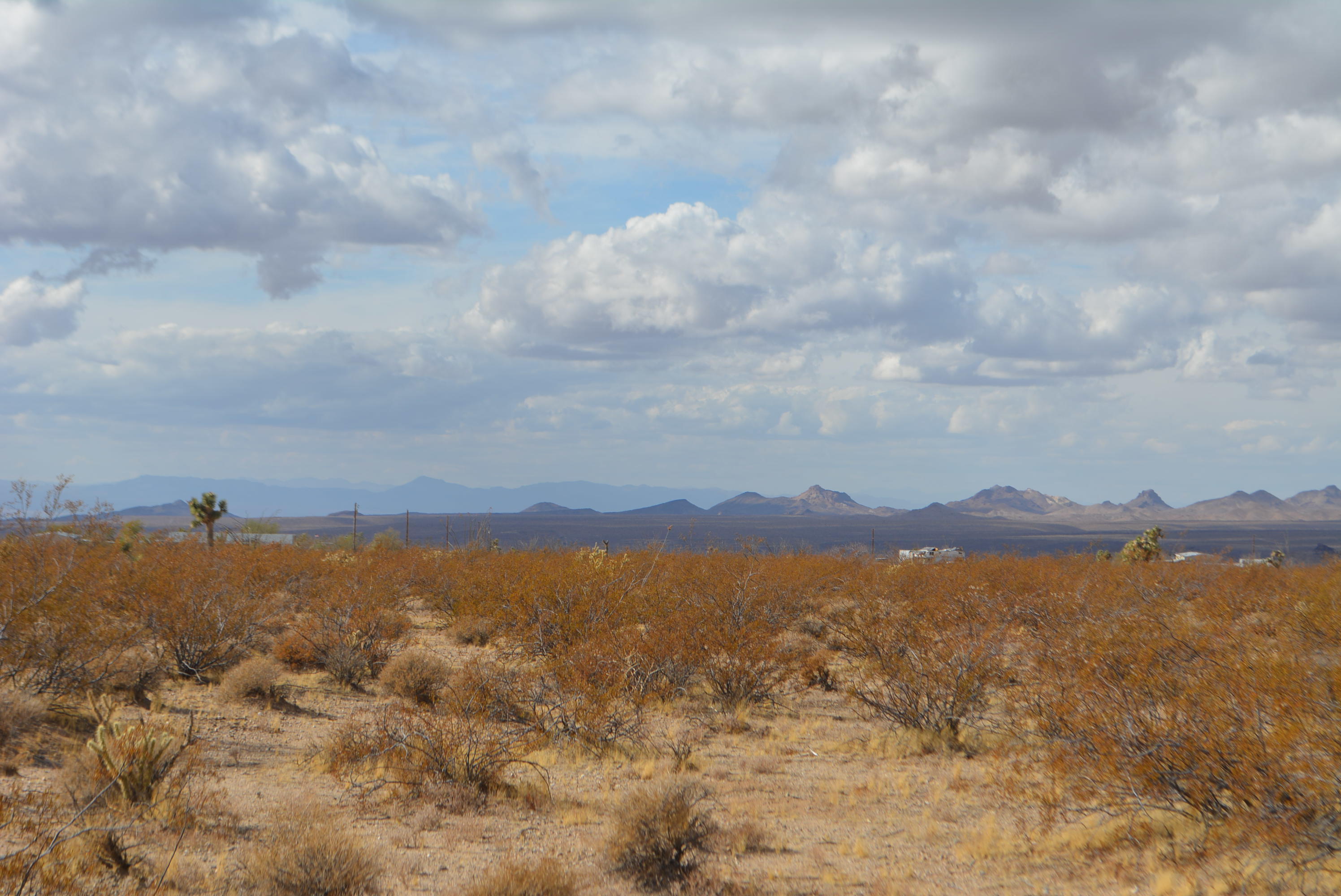 3-lots Cameron Road Yucca, AZ 86438 - Photo 7 of 18 DSC_0268