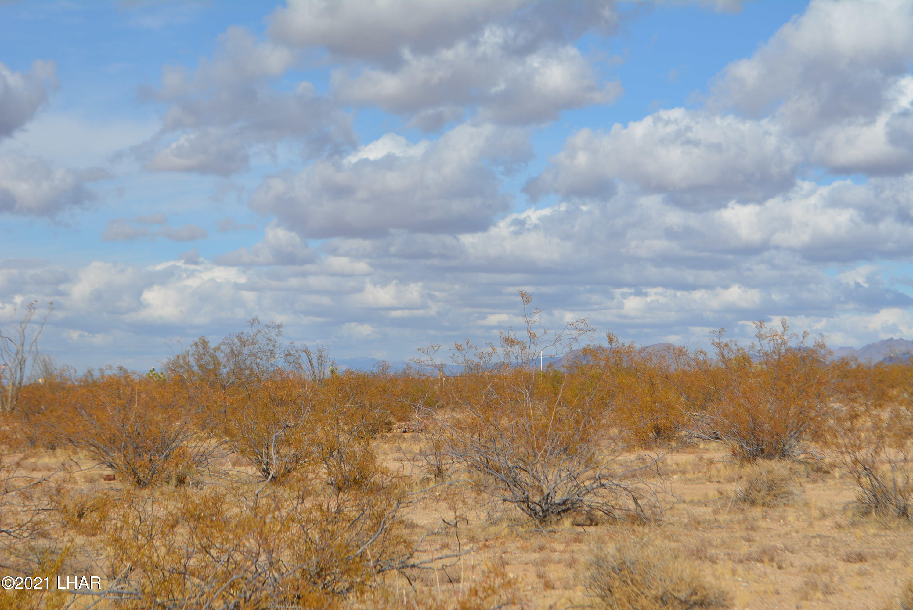 3-lots Cameron Road Yucca, AZ 86438 - Photo 9 of 18 DSC_0272