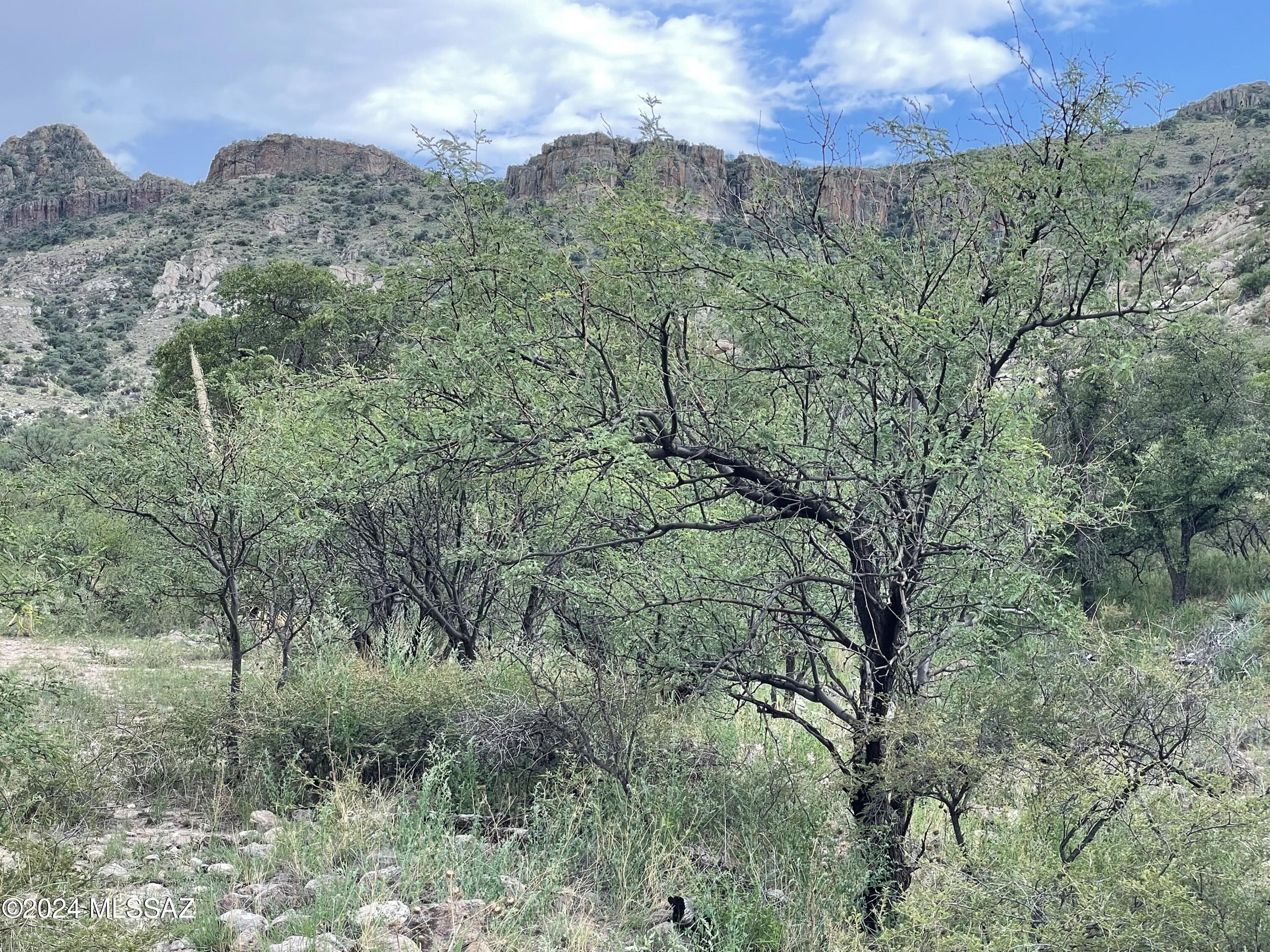 Tbd Tbd Calle De La, Unit 143 5 Rio Rico, AZ 85648 - Photo 13 of 20