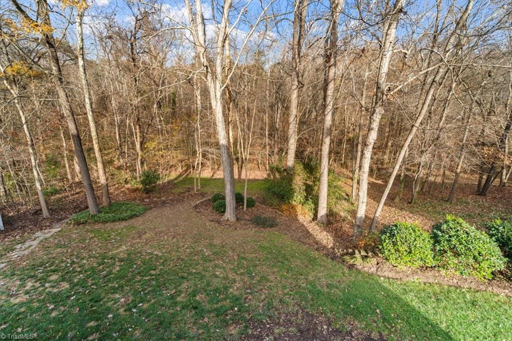 2513 Burch Point High Point, NC 27265 - Photo 47 of 50 Gallery Image 47