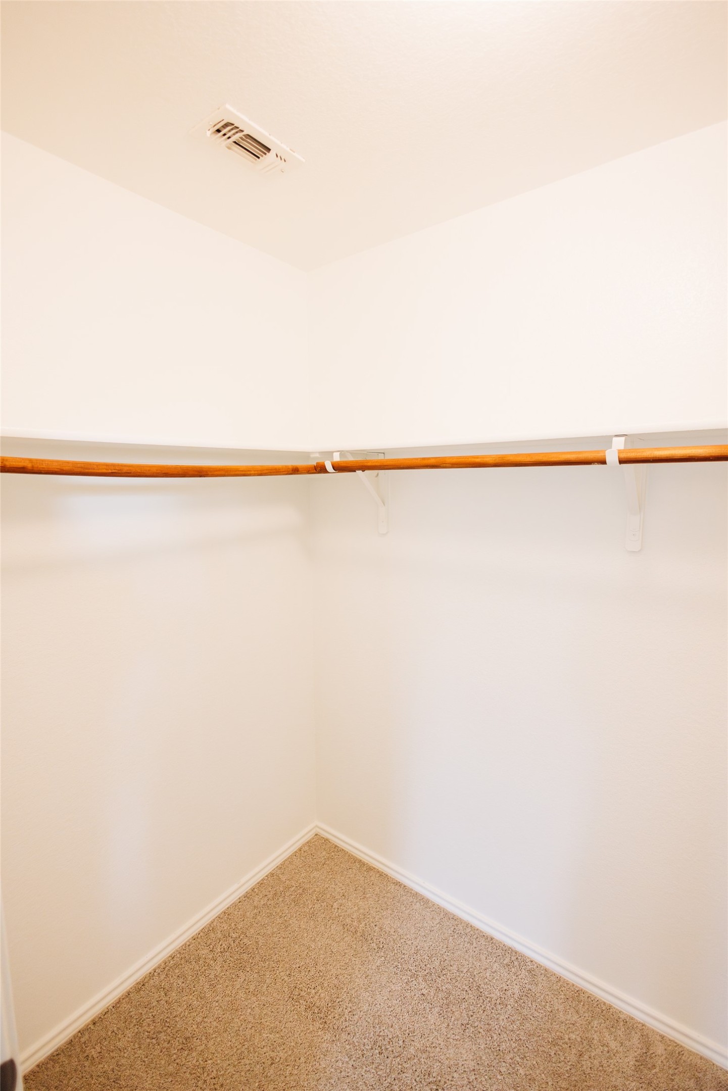 2905 Acopio Bend Austin, TX 78745 - Photo 15 of 29 Walk in closet featuring carpet floors