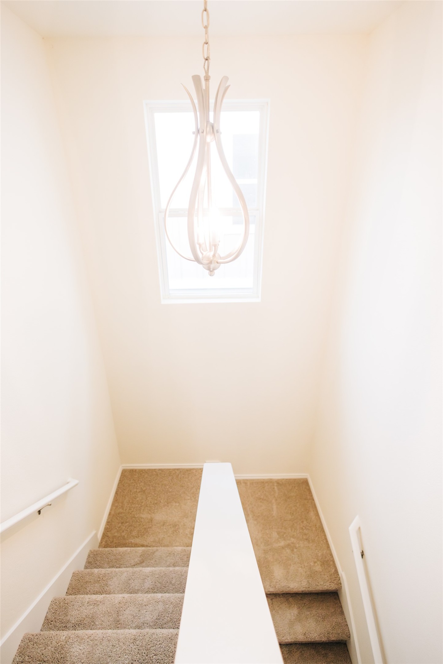 2905 Acopio Bend Austin, TX 78745 - Photo 19 of 29 Staircase with carpet flooring and hanging lights