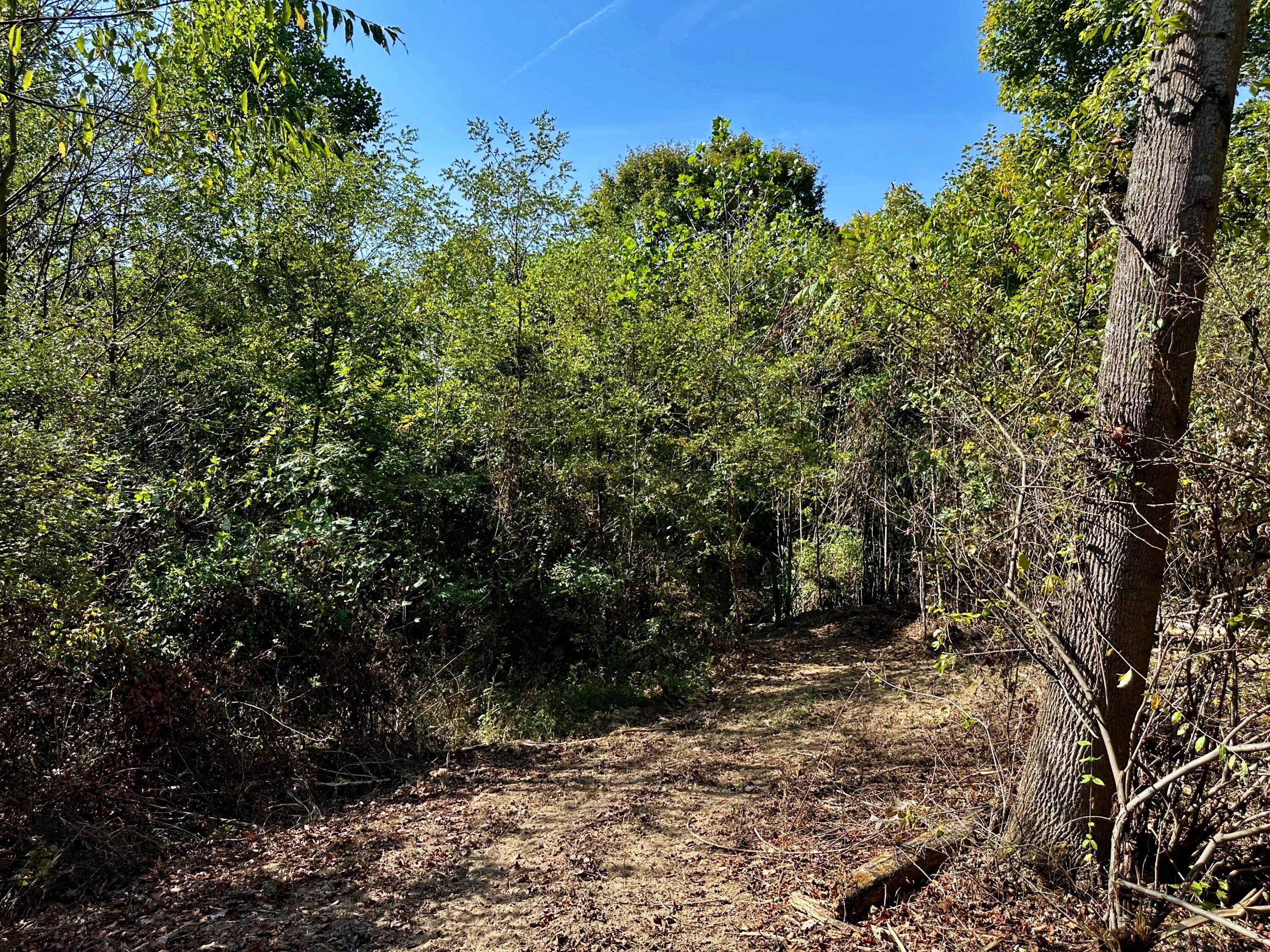0 Dutch Ridge Road, Unit TRACT 6 AT DUTCH RIDGE) New Straitsville, OH 43766 - Photo 22 of 44 20240920_152718618_iOS