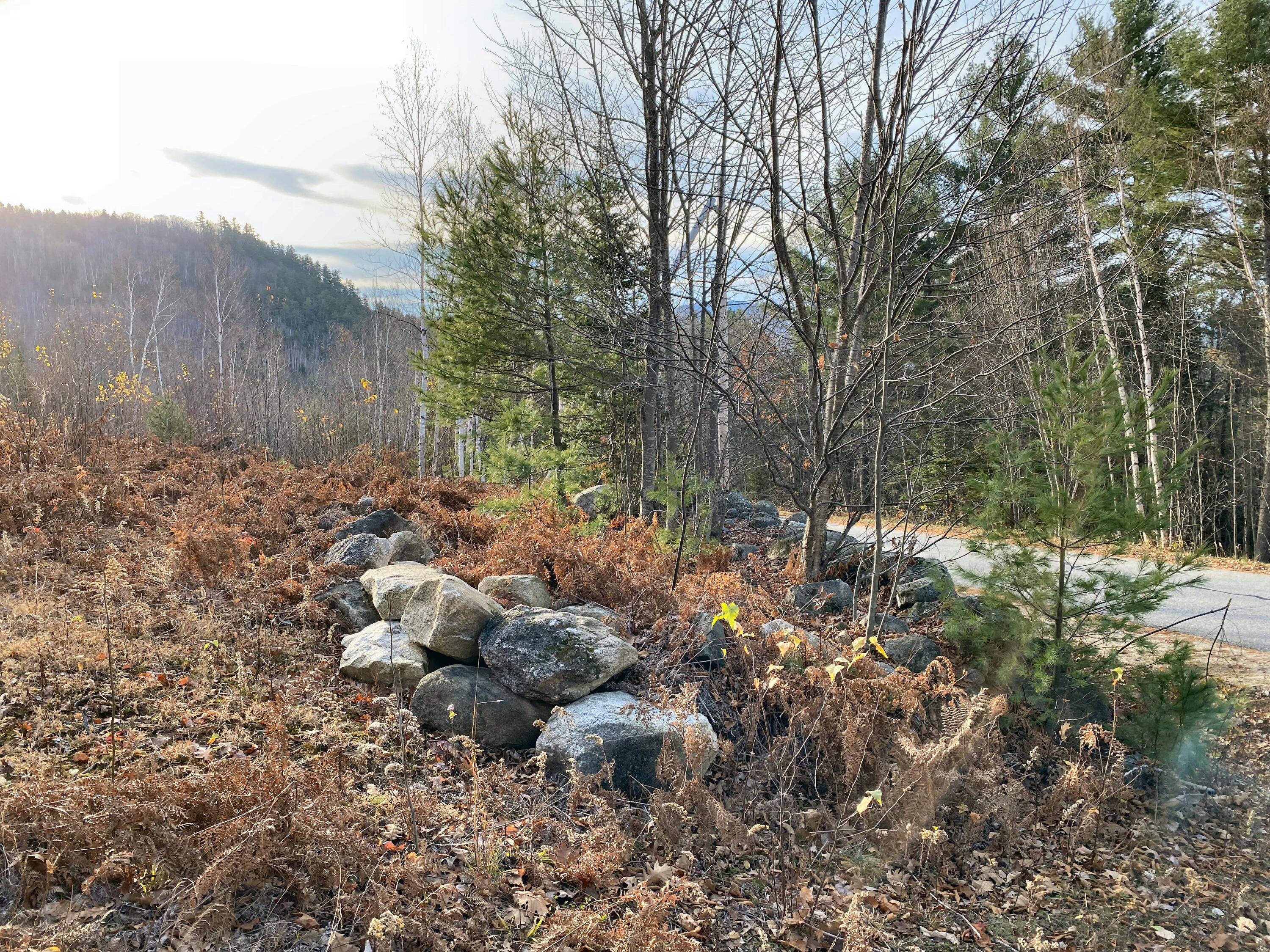 Lot #9 Taylor Smith Road Bethel, ME 04217 - Photo 18 of 22 Rock Wall Rd Front