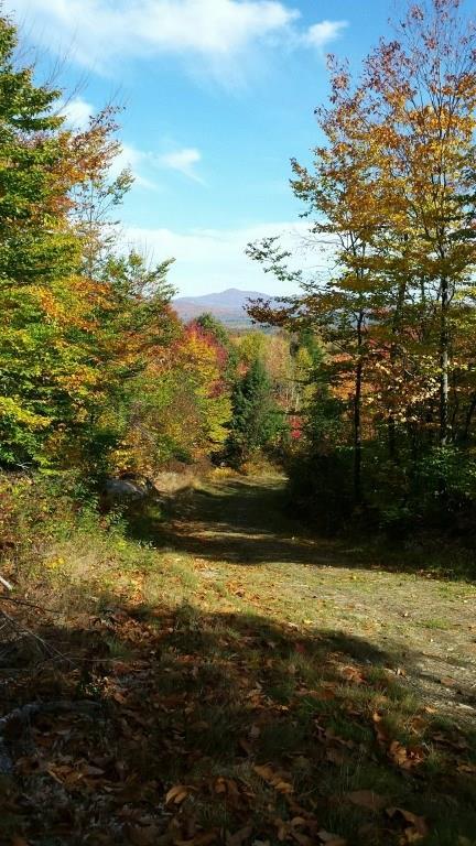 M32-l12-d7 Lyle Hall Road Wilton, ME 04294 - Photo 3 of 6 Photo