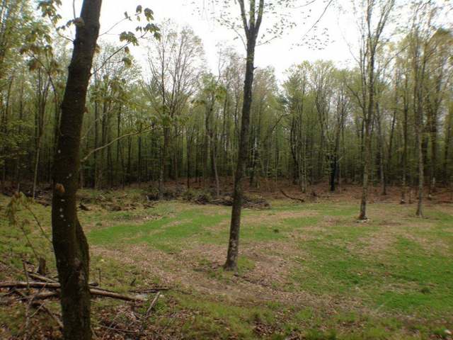 3518 Old 26 Road Conover, WI 54519 - Photo 6 of 20 Gallery Image 6